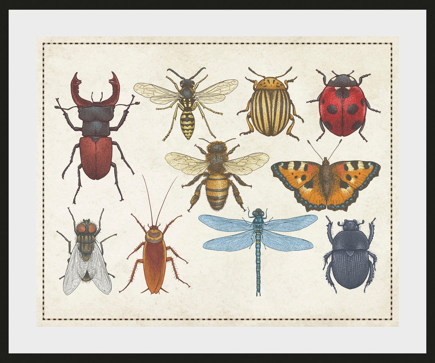 queence Bild »Das Große Krabbeln«, Schmetterlinge-Kunst-Insekten, (1 St.), günstig online kaufen