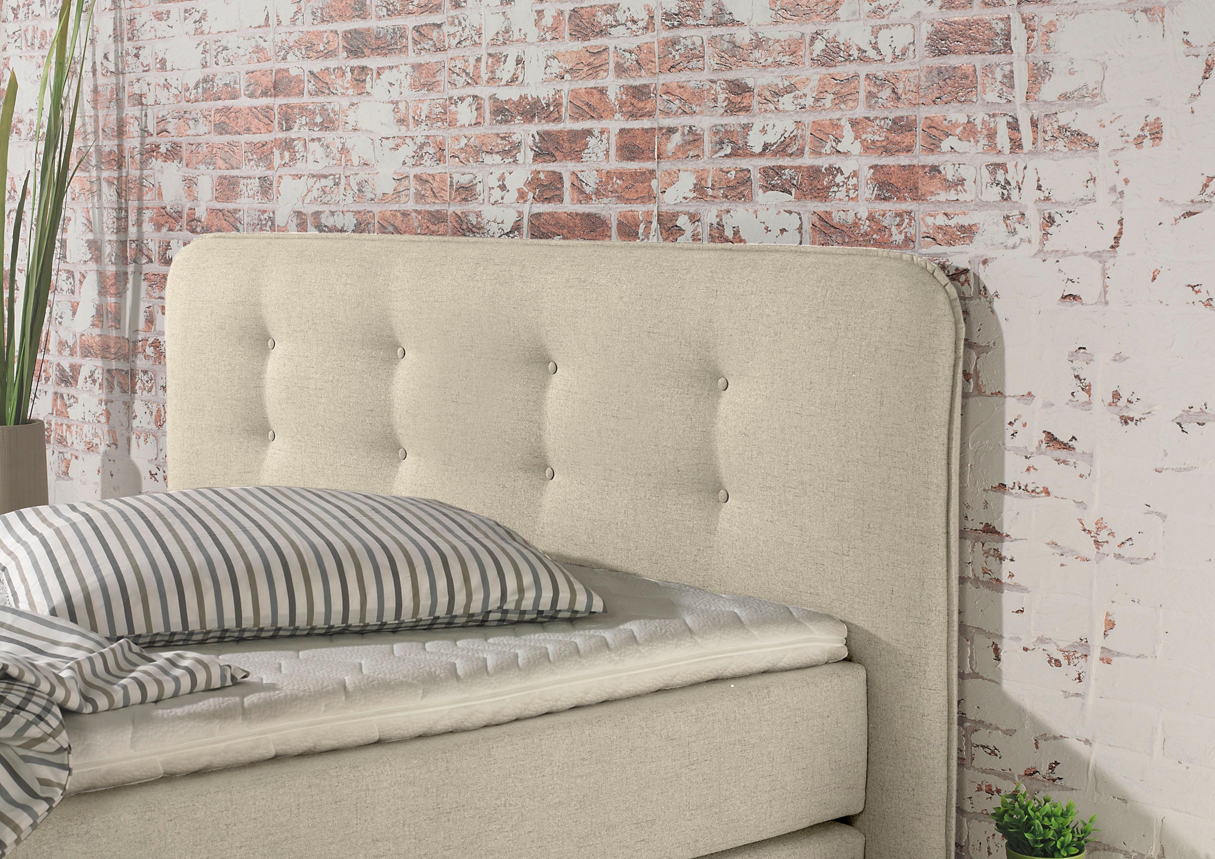 Home affaire Boxspringbett »Cecina« in 5 Breiten, 3 Ausführungen, 2 Härtegrade, Knopfheftung, Topper
