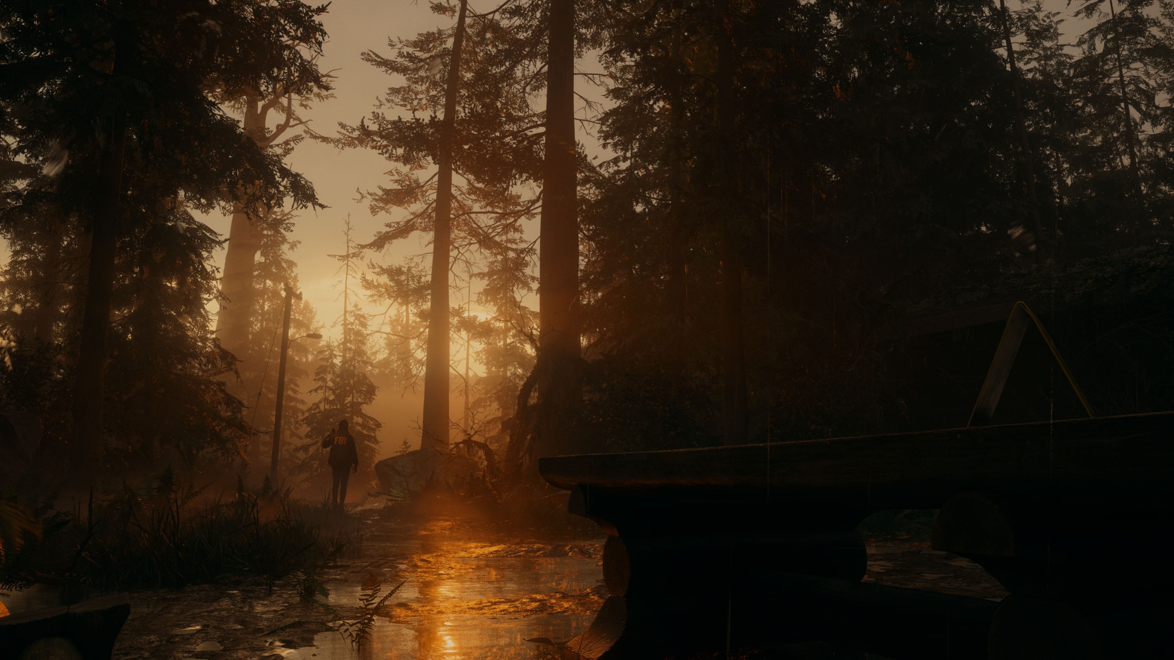 Spielesoftware »Alan Wake 2 Deluxe Edition«, Xbox Series X