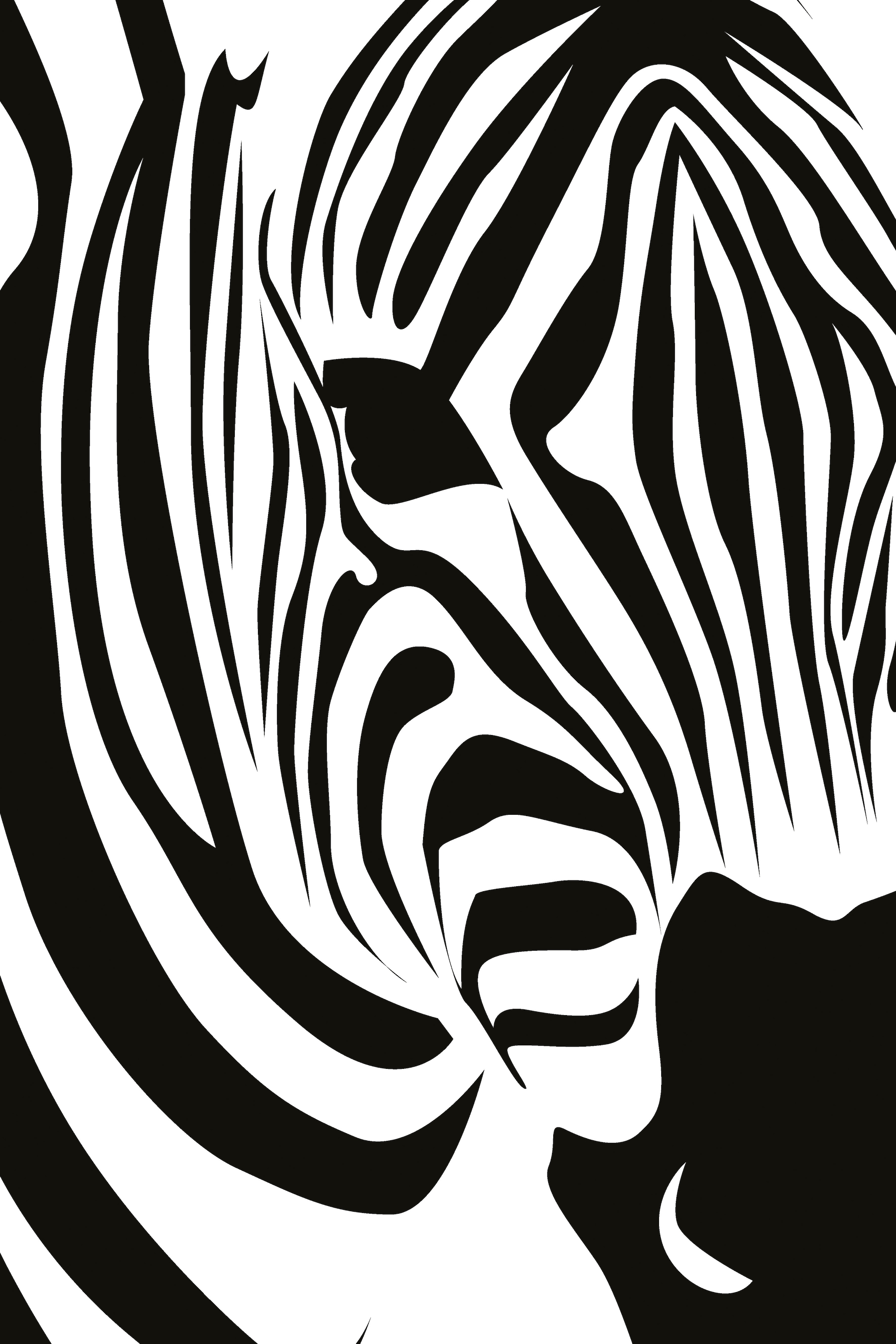 queence Metallbild »Zebra«, Zebras, (1 St.), Stahlschilder