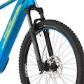 FISCHER Fahrrad E-Bike »MONTIS 6.0i 504«, 12 Gang, (mit Akku-Ladegerät-mit Werkzeug)