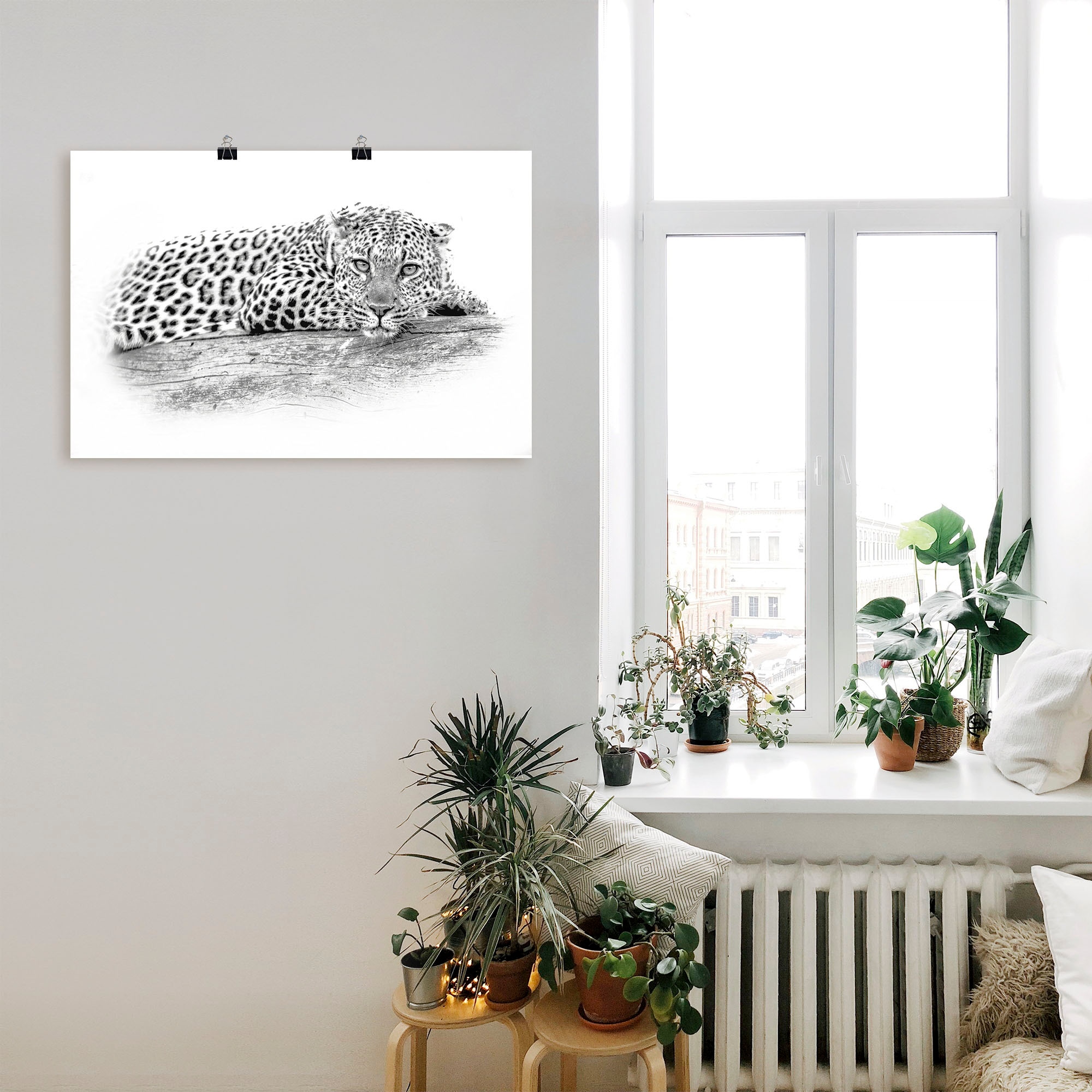 Artland Wandbild »Leopard High Key Optik«, Wildtiere, (1 St.), als Alubild,  Leinwandbild, Wandaufkleber oder Poster in versch. Größen online bestellen