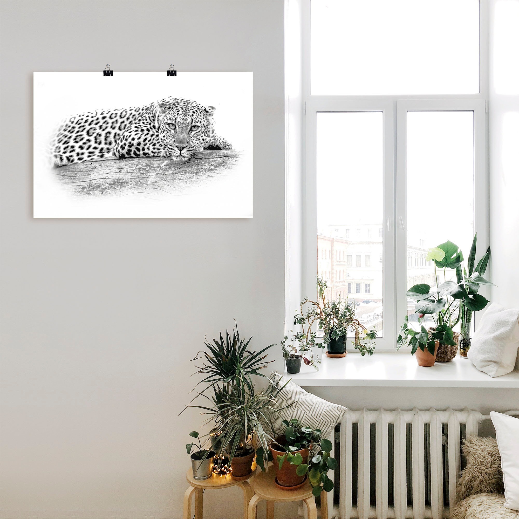 Artland Wandbild "Leopard High Key Optik", Wildtiere, (1 St.), als Alubild, günstig online kaufen