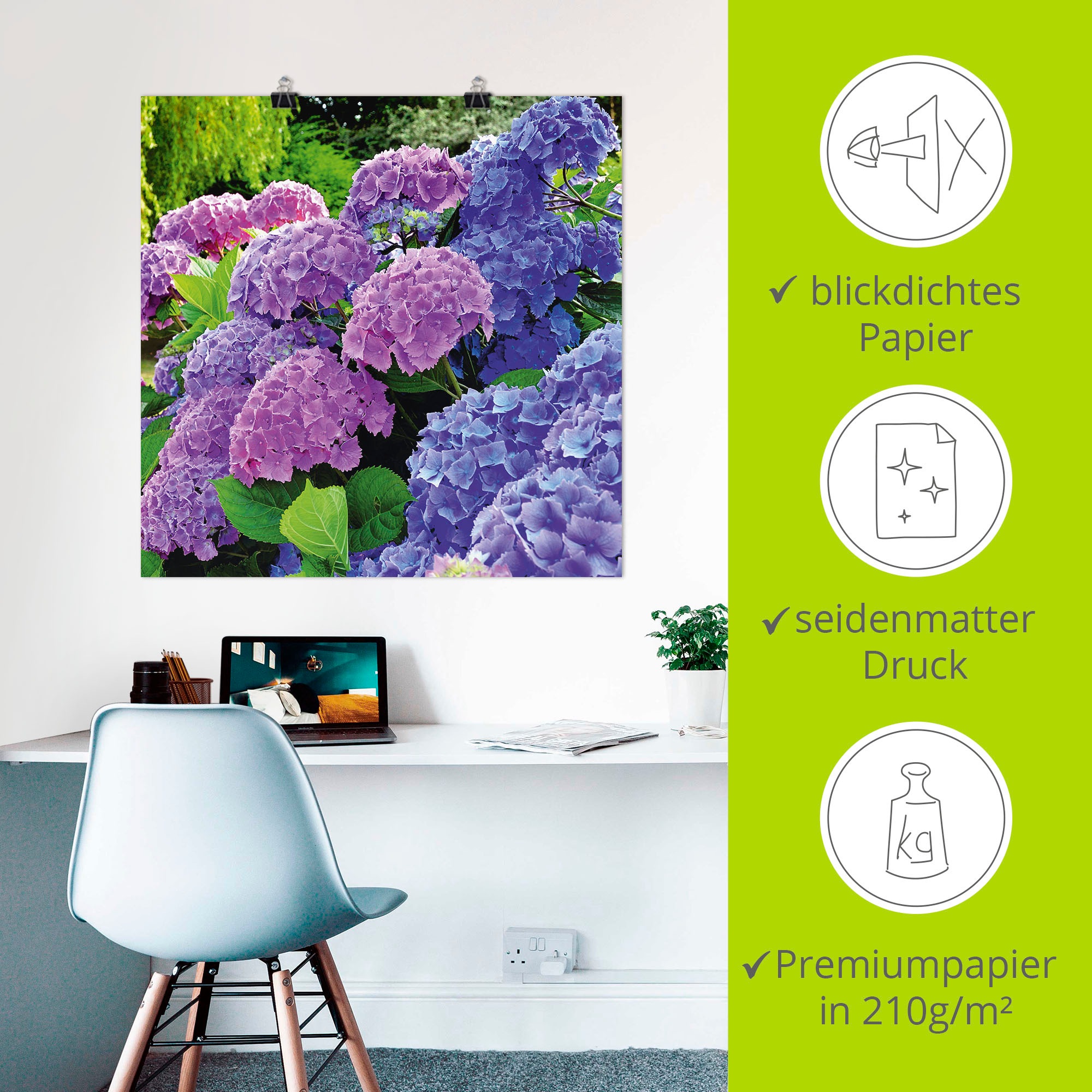 Artland Wandbild »Hortensien im Garten« Blumen 1 Stk. tlg. als Alubild, Leinwandbild, Poster in verschied. Größen