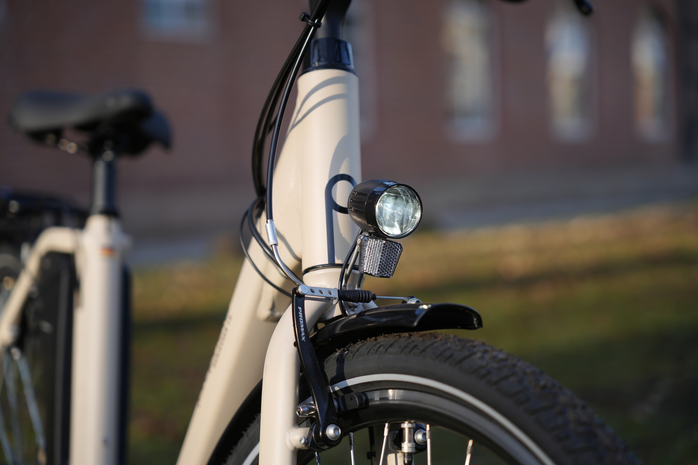 Prophete »Prophete Geniesser 1.0« 3 Gang Shimano Nexus Schaltwerk Nabenschaltung Frontmotor 250 W