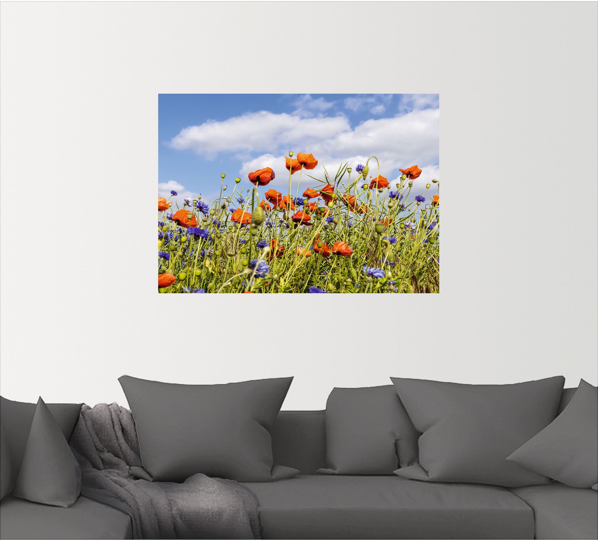Artland Wandbild »Mohnblumenfeld mit Kornblumen«, Blumenwiese, (1 St.), als Alubild, Leinwandbild, Wandaufkleber oder Poster in versch. Größen