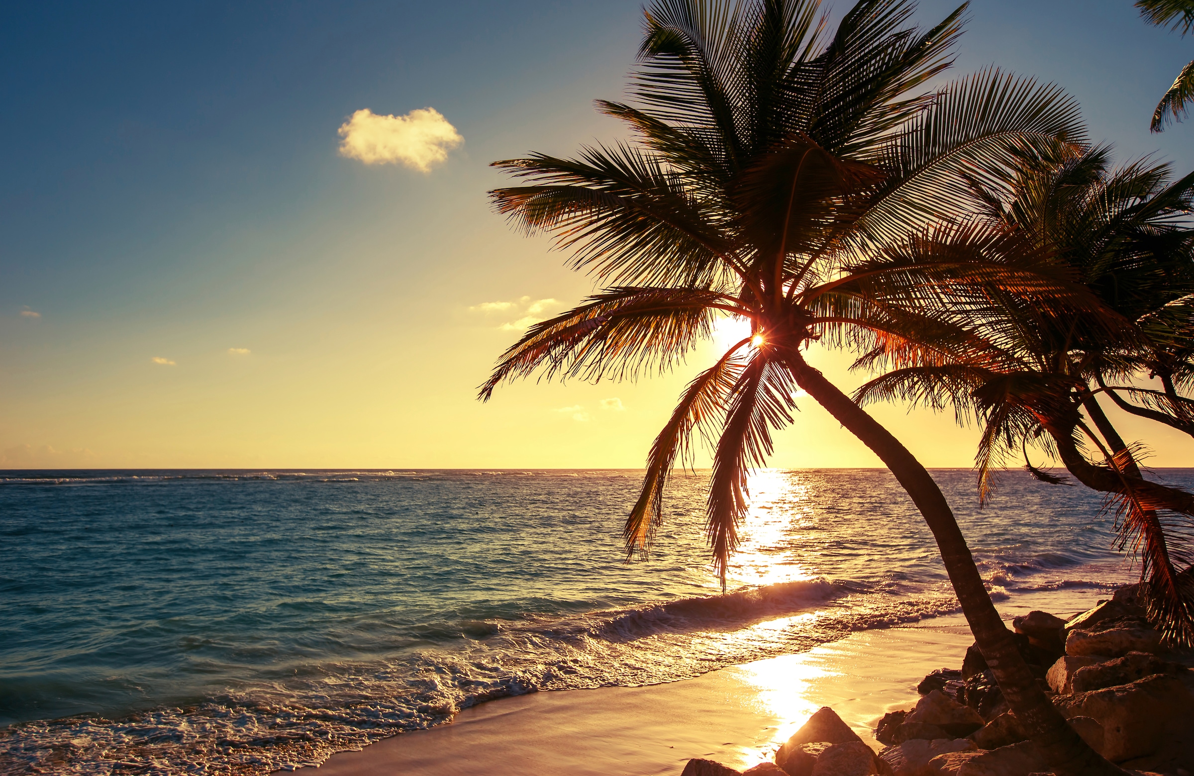 Papermoon Fototapete »PALMEN-STRAND SONNENUNTERGANG NATUR MEER LANDSCHAFT X günstig online kaufen