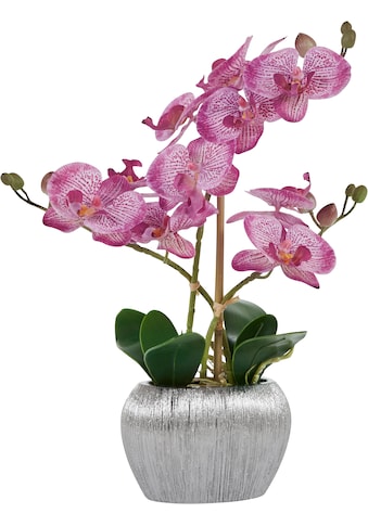 Kunstpflanze »Orchidee«