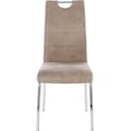 HELA Stuhl »Susi«, (Set), 2 St., Polyester, 2 oder 4 Stück