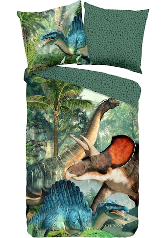 Kinderbettwäsche »Jurassic«, (2 tlg.), mit Dinosauriern