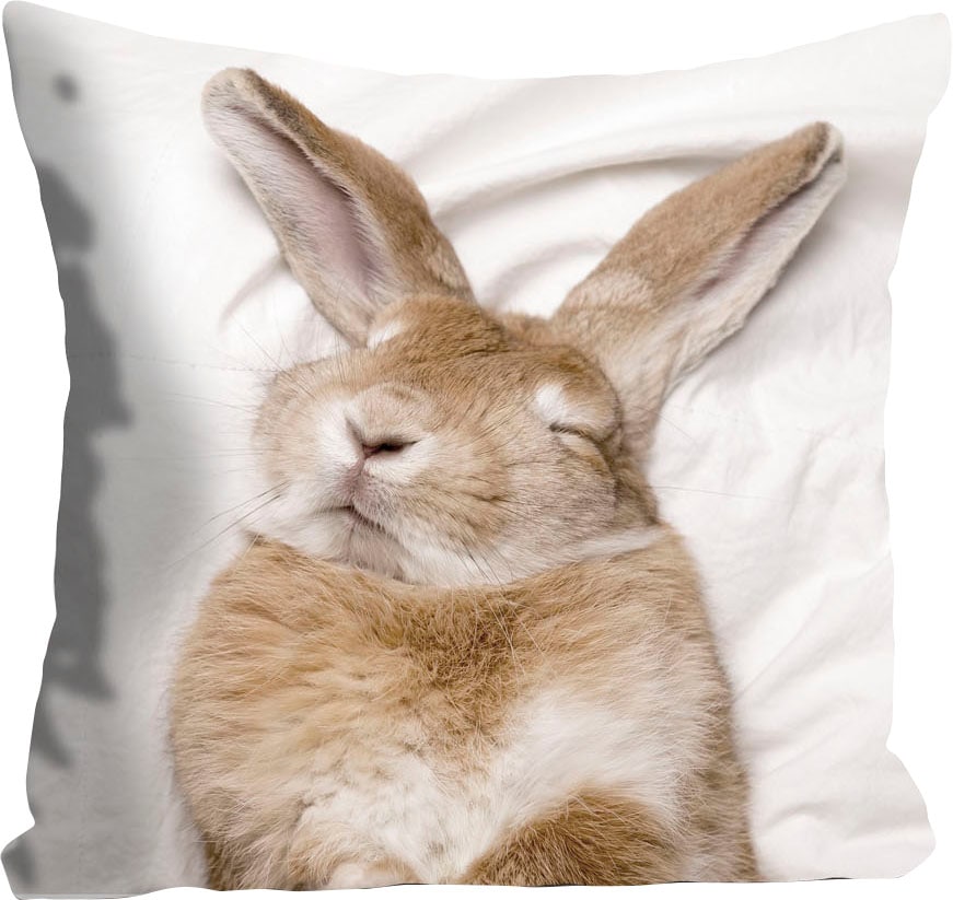 queence Dekokissen »Ketut«, Kissenhülle,Hase,Ostern,Frühlingsmotiv,Niedlich günstig online kaufen