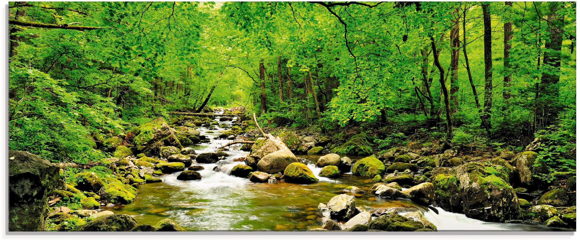 Artland Glasbild »Herbstwald Fluss Smolny«, Wald, (1 St.), in verschiedenen günstig online kaufen