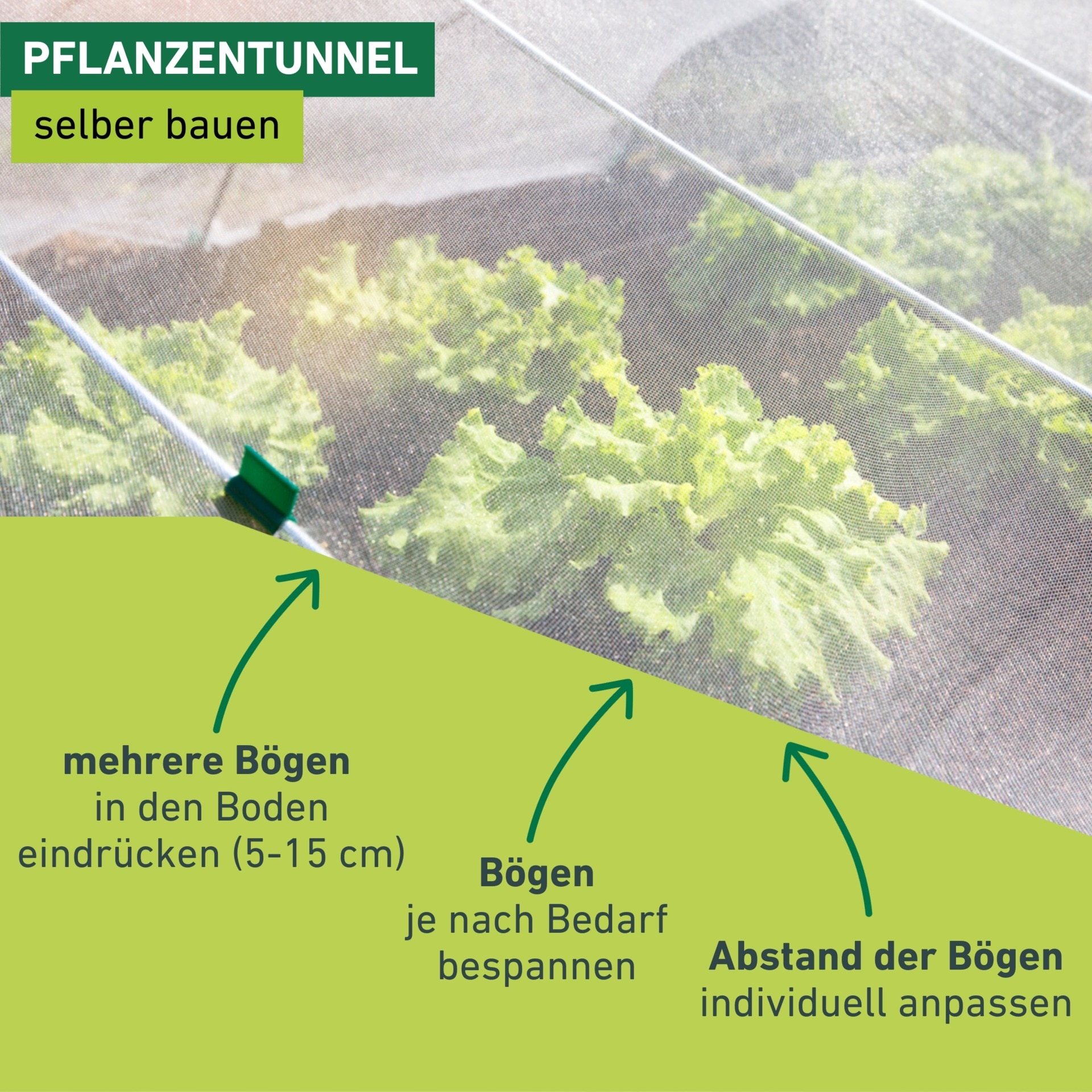 Windhager Foliengewächshaus »Tunnelbogen für Pflanzen in Hochbeeten, für ideale Pflanzenzucht« stabiler, langlebiger Bogen und starkes Wachstum, 0,57x1,3 m