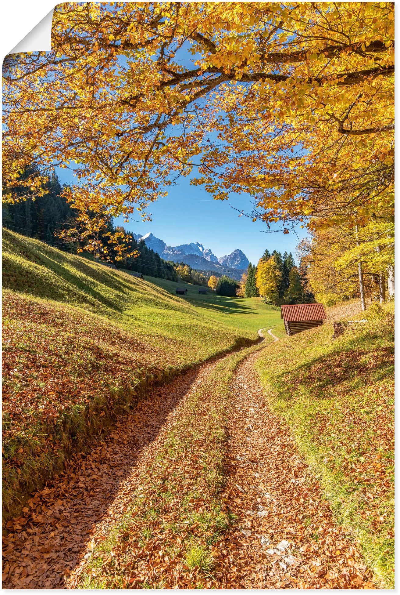 Artland Wandbild »Herbst in Bayern«, Berge & Alpenbilder, (1 St.), als Alub günstig online kaufen