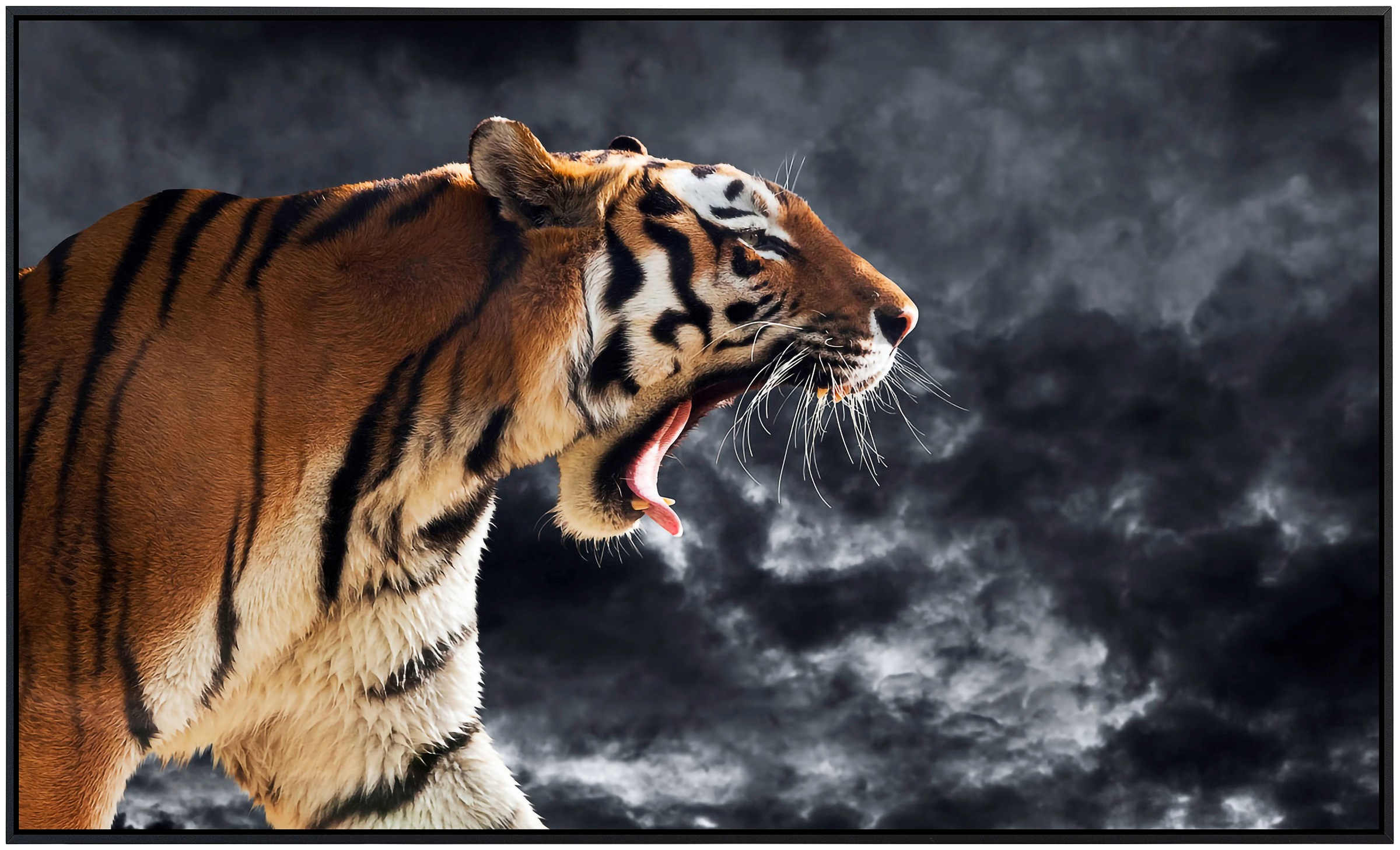 Papermoon Infrarotheizung »Brüllender wilder Tiger«, sehr angenehme Strahlu günstig online kaufen