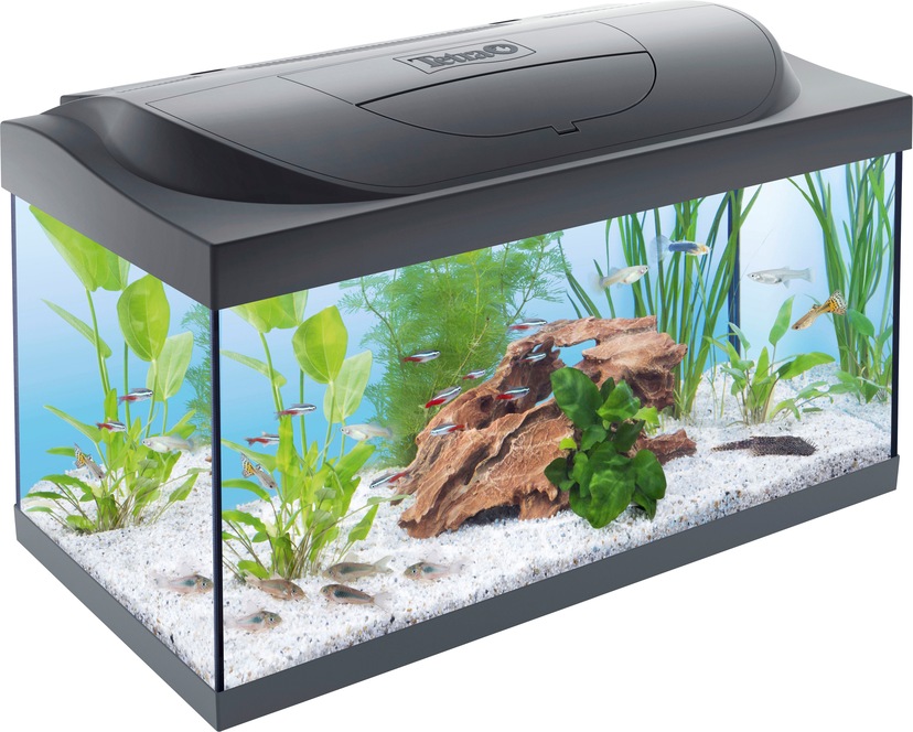 75,5x38,4x12 online LED«, Tetra Aquariumunterschrank Explorer »AquaArt kaufen cm BxTxH:
