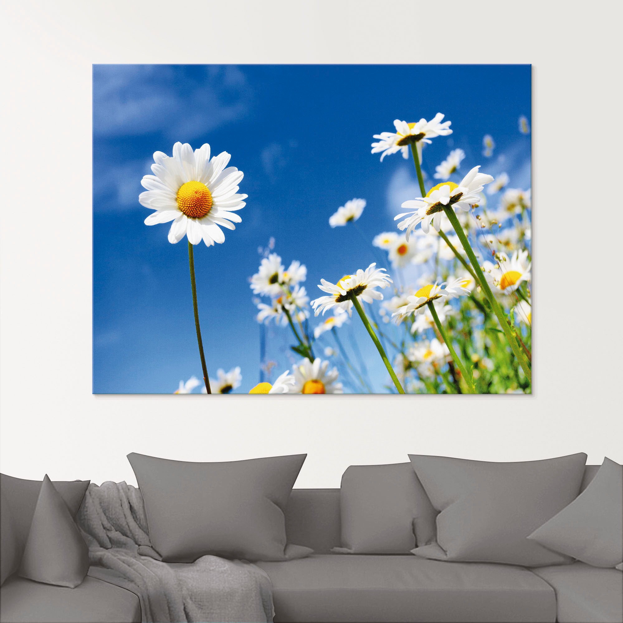 Artland Glasbild »Gänseblümchen« Blumenwiese 1 Stk. tlg. in verschiedenen G günstig online kaufen