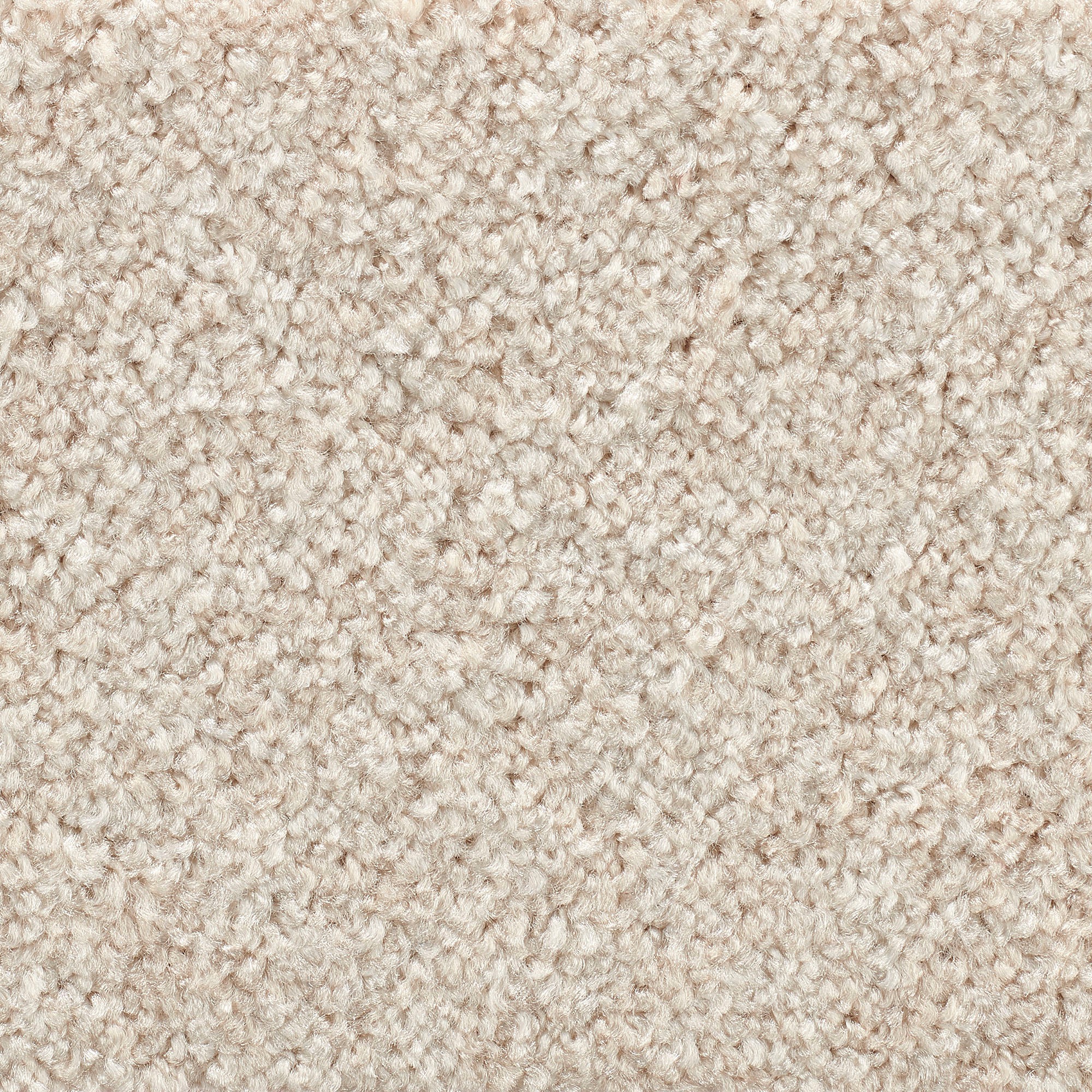 Vorwerk Teppichboden »Passion 1055, Velours - Uni Farben, Made in Germany«, günstig online kaufen