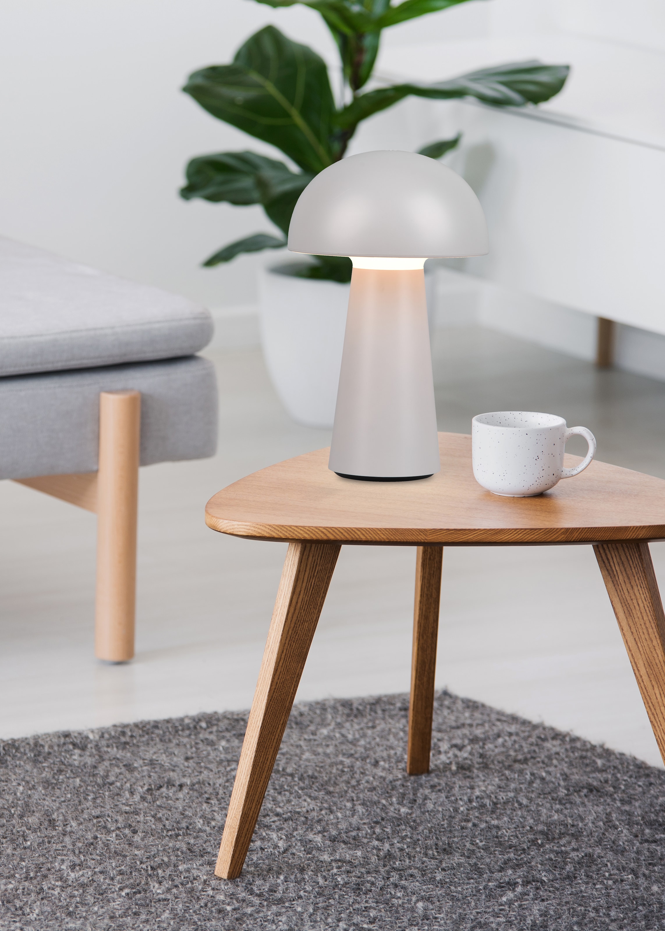 REALITY Leuchten LED Außen-Tischleuchte »Lennon«, Schutzart IP44, LED fest integriert, 4-fach Touchdimmer, Ladefunktion per USB-C