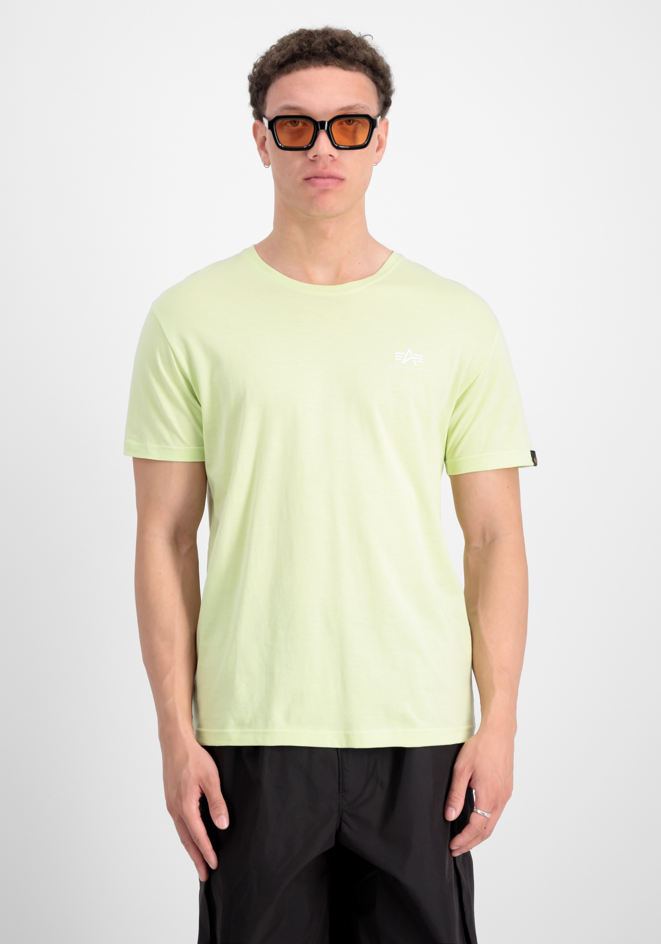 Alpha Industries T-Shirt »Backprint T-Shirt«