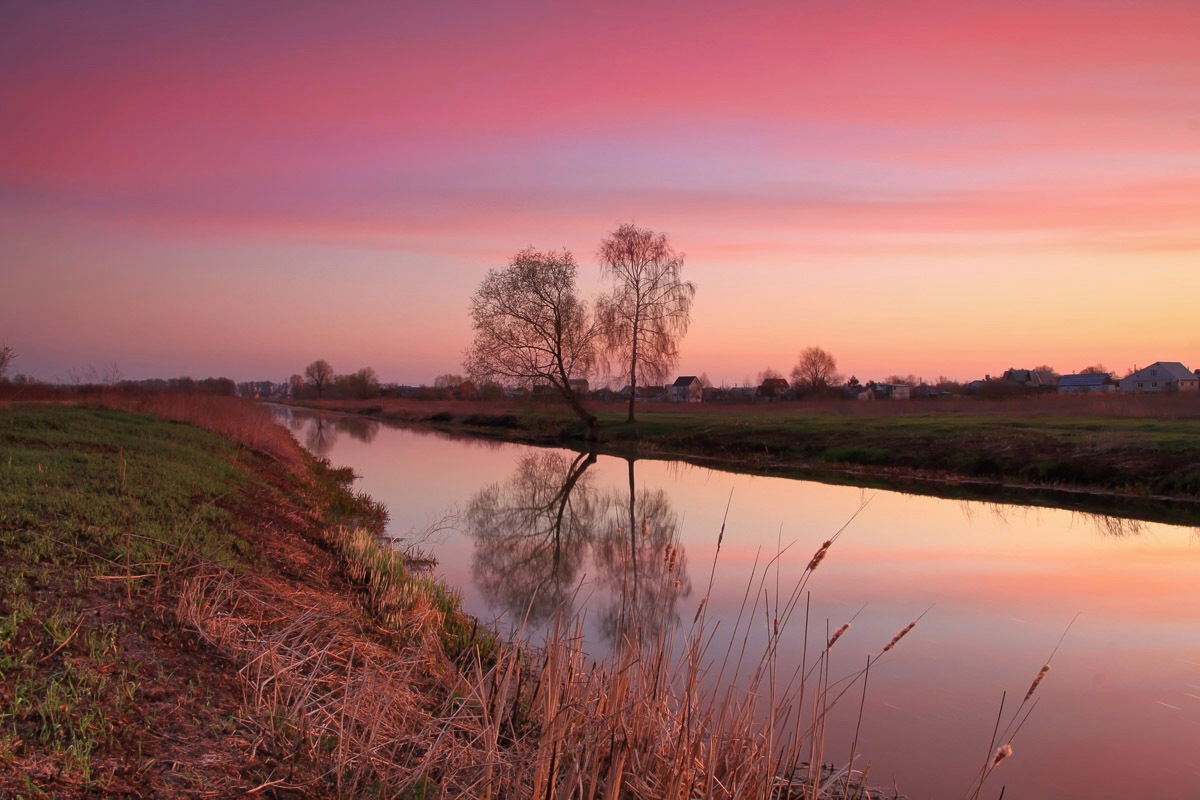 Papermoon Fototapete »Fluss durch Feld« günstig online kaufen