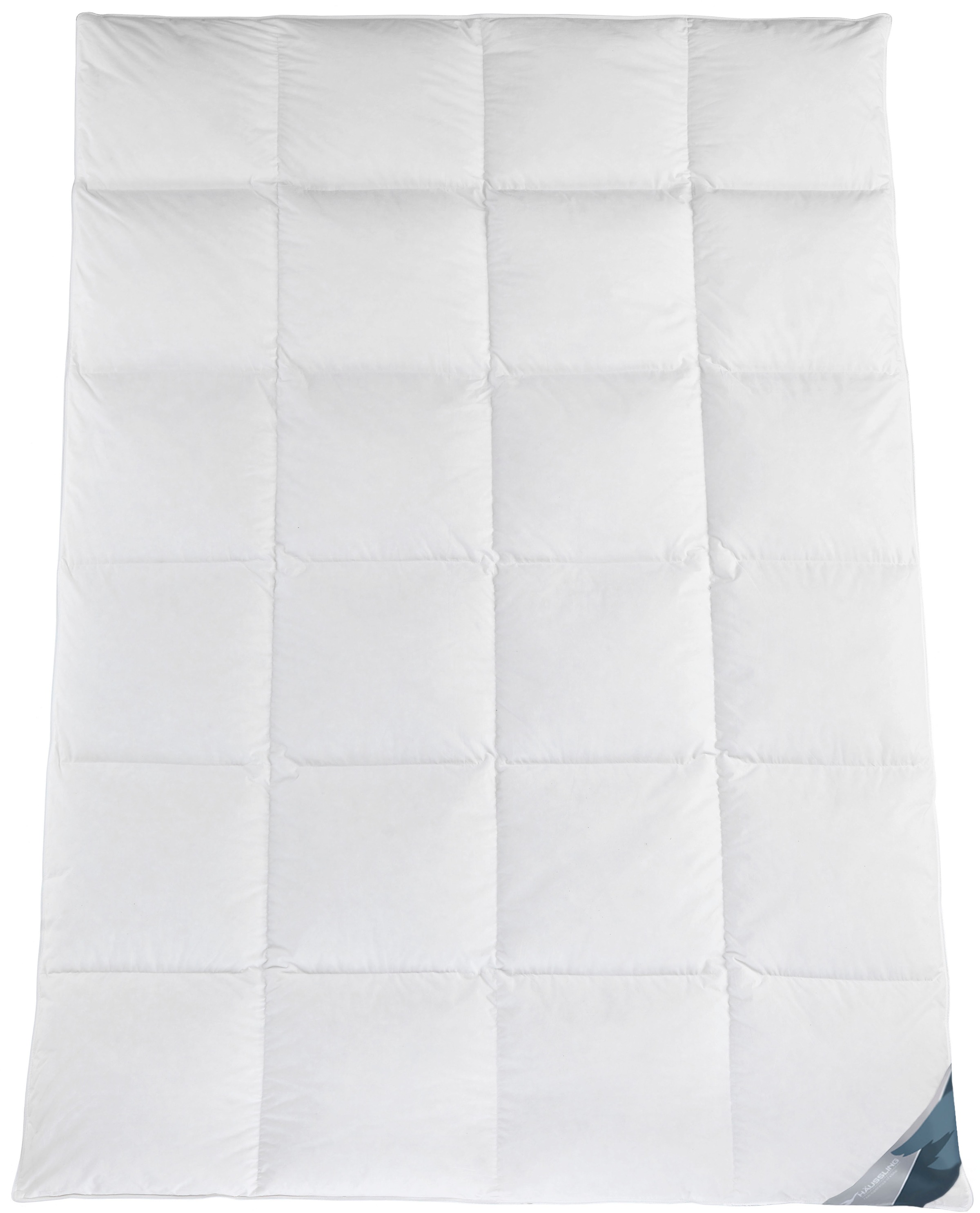 Haeussling Daunenbettdecke »Kuscheltraum, 135x200,155x220 & weitere Größen« günstig online kaufen