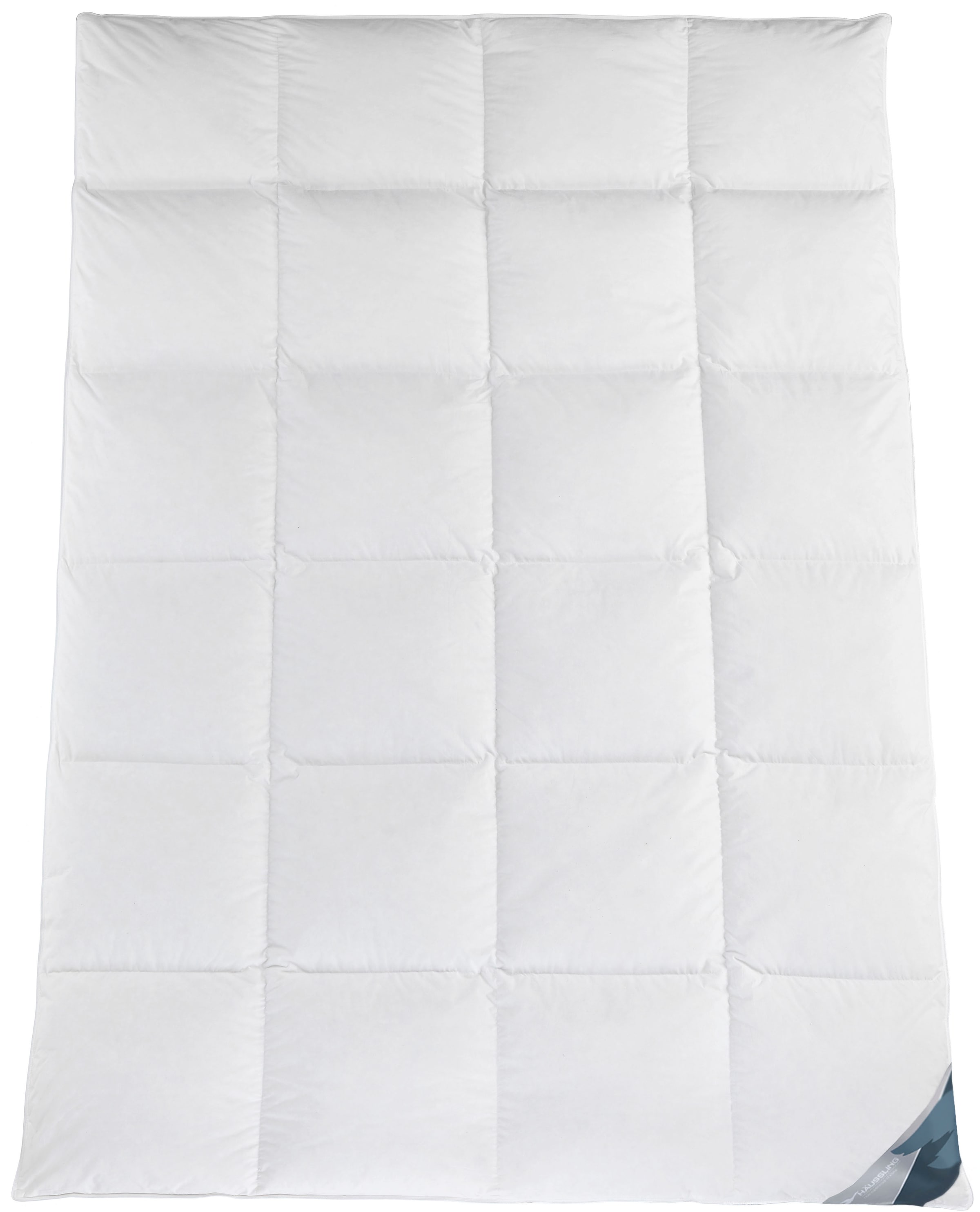 Haeussling Daunenbettdecke »Kuscheltraum, 135x200,155x220 & weitere Größen« günstig online kaufen