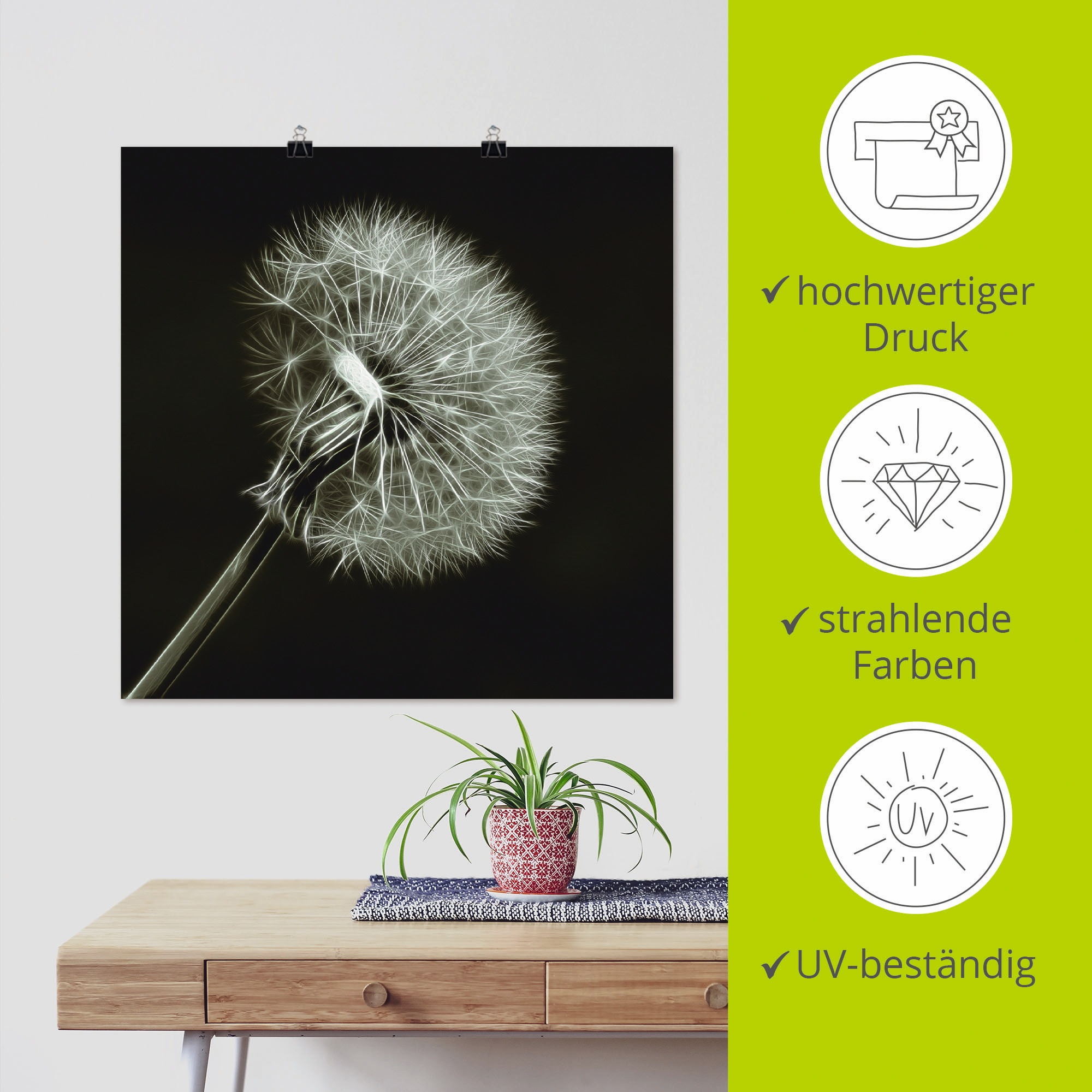 Artland Wandbild »Pusteblume«, Blumen, (1 St.), als Leinwandbild, Poster in verschied. Größen