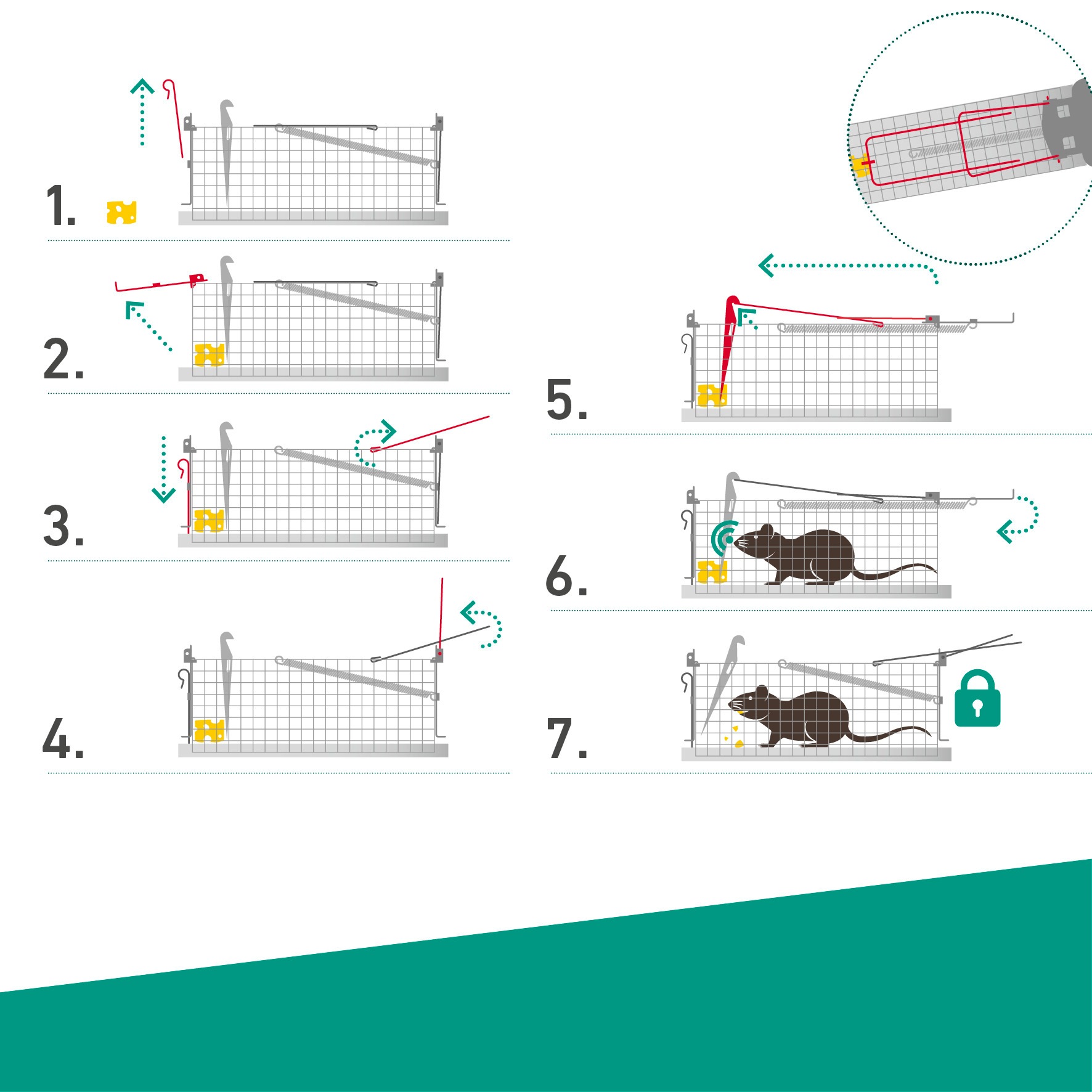 Windhager Mäusegitter »Drahtkasten Mause- und Rattenfalle« tierfreundliche Lebendfalle erhältlich in unterschiedlichen Größen