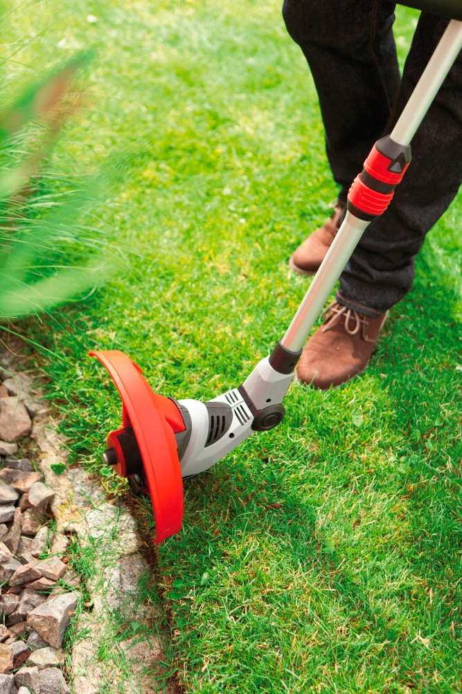 AL-KO Elektro-Rasentrimmer »GTE 550 Premium«, 550 Watt