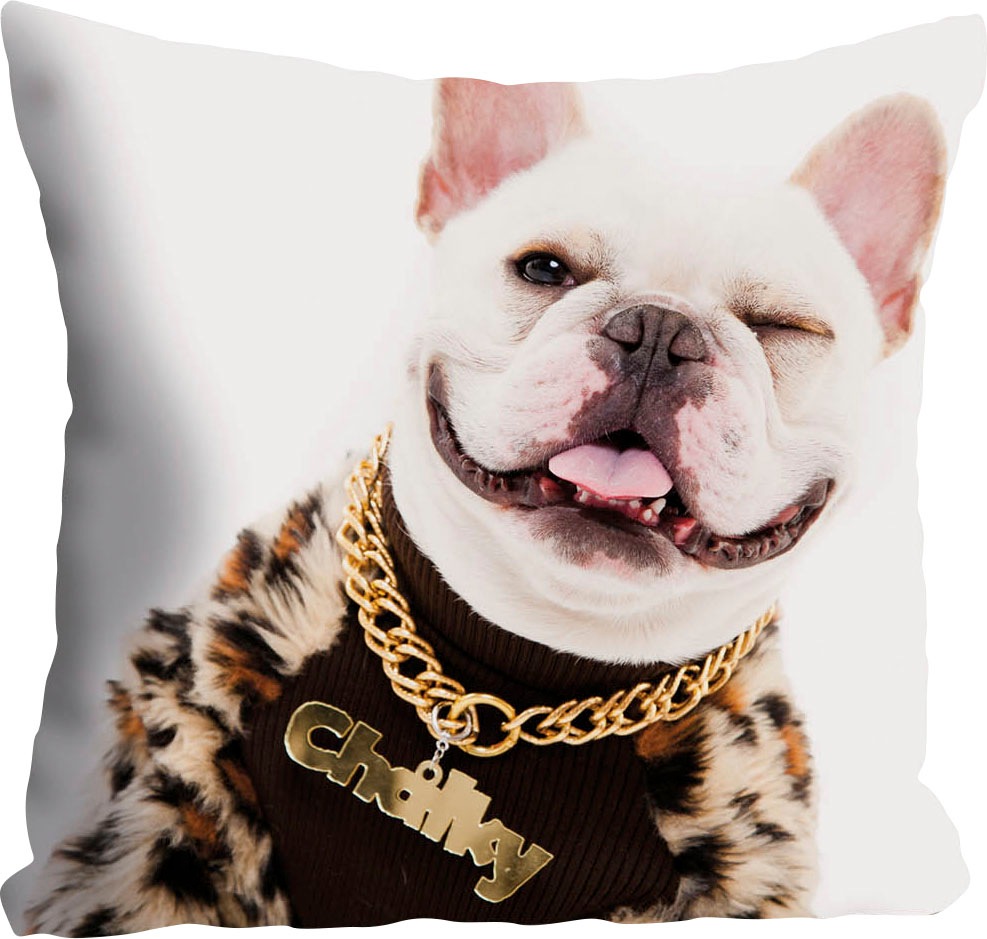 queence Dekokissen »Lars«, mit Hund im Rapperoutfit, Kissenhülle ohne Füllu günstig online kaufen