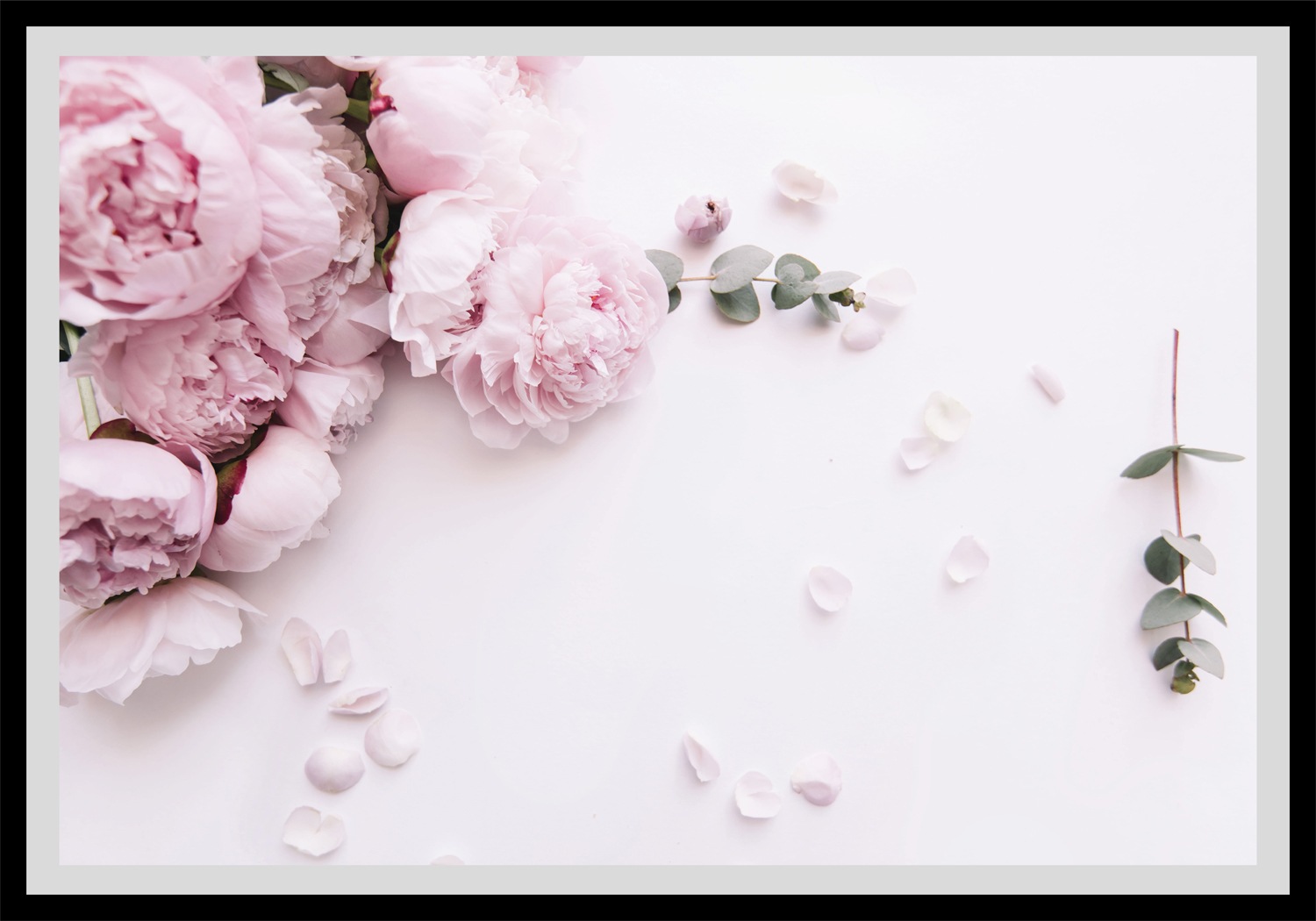 queence Bild »Grete«, Blumen, Rosen, gerahmt günstig online kaufen