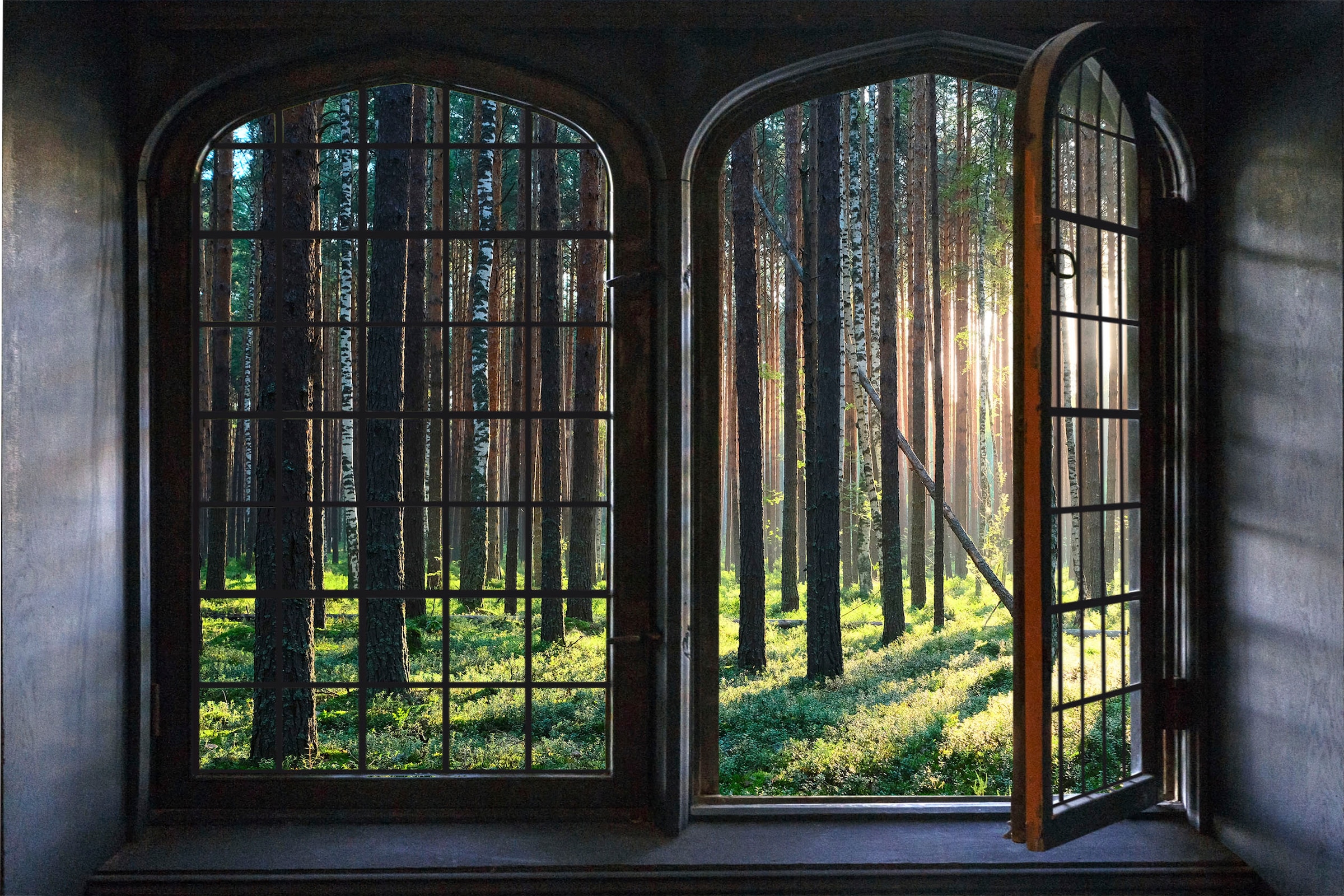queence Wandsticker »Wald«, Wandsticker, Wandbild, selbstklebend, 3D, Fenster