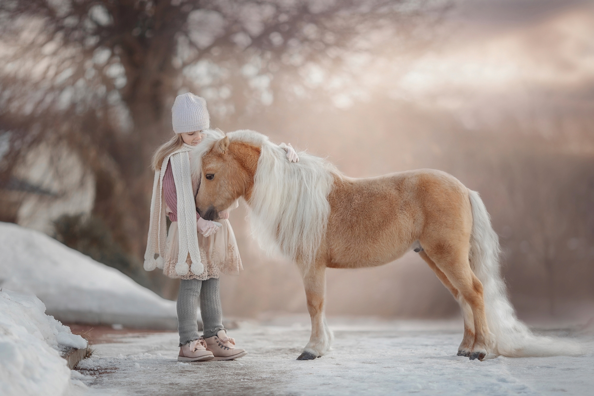 Papermoon Fototapete »PALOMINO MINIATURE PFERD-MÄDCHEN WINTER TIER PONY MIN günstig online kaufen