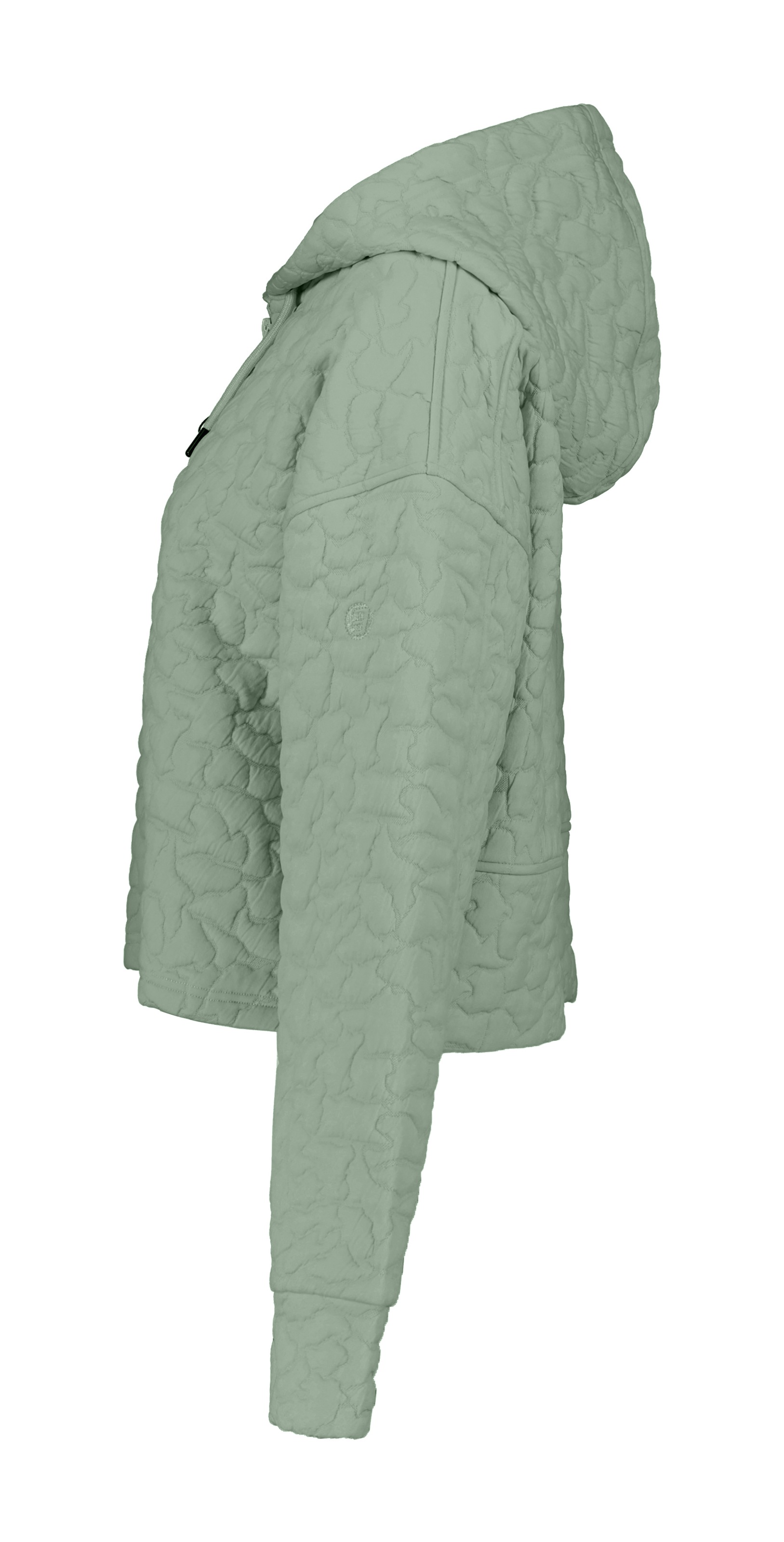 Icepeak Fleecejacke »D FLEECEJACKE ABBOTTA«, mit Kapuze