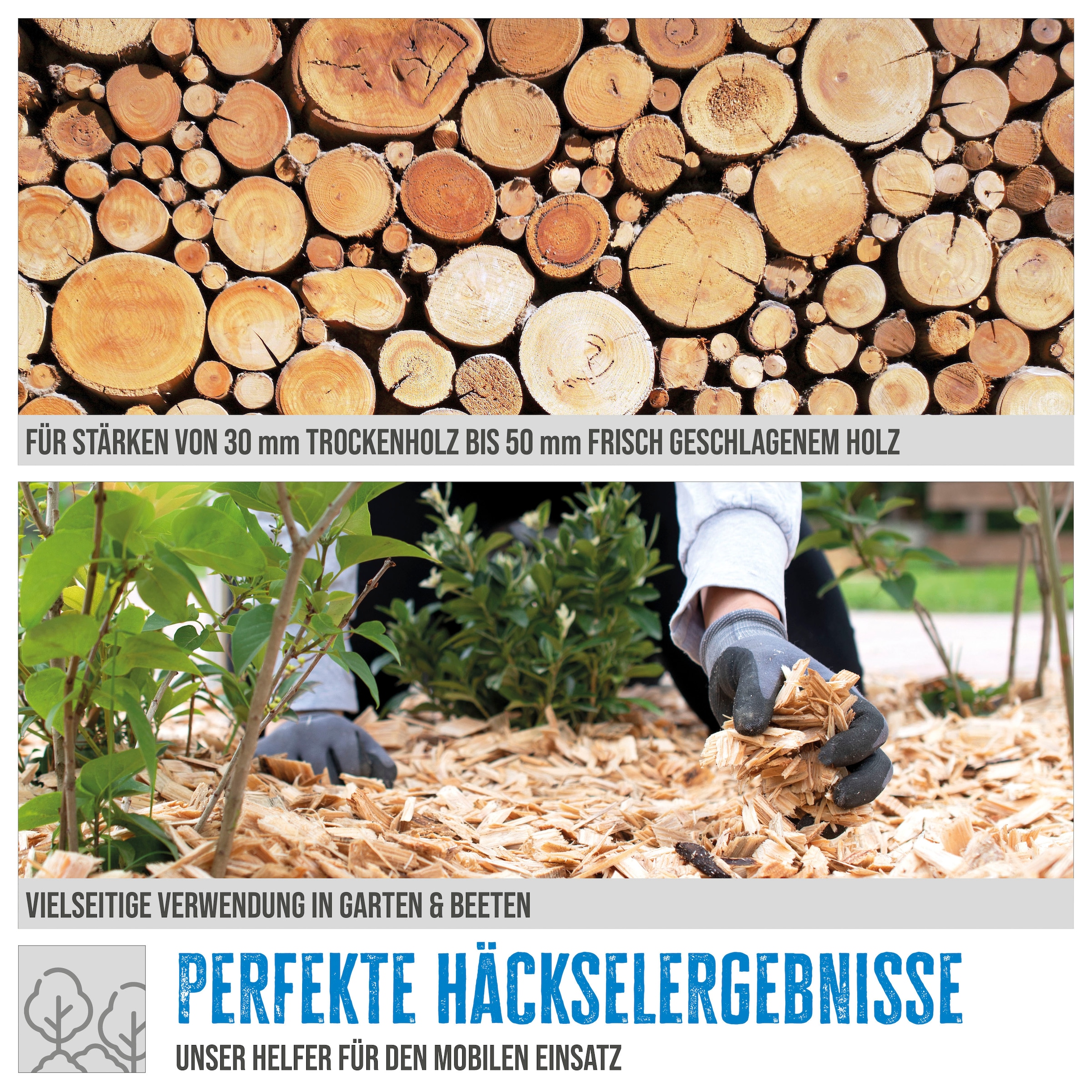 Güde Häcksler »»GH 4.1-50««, (1 St.)