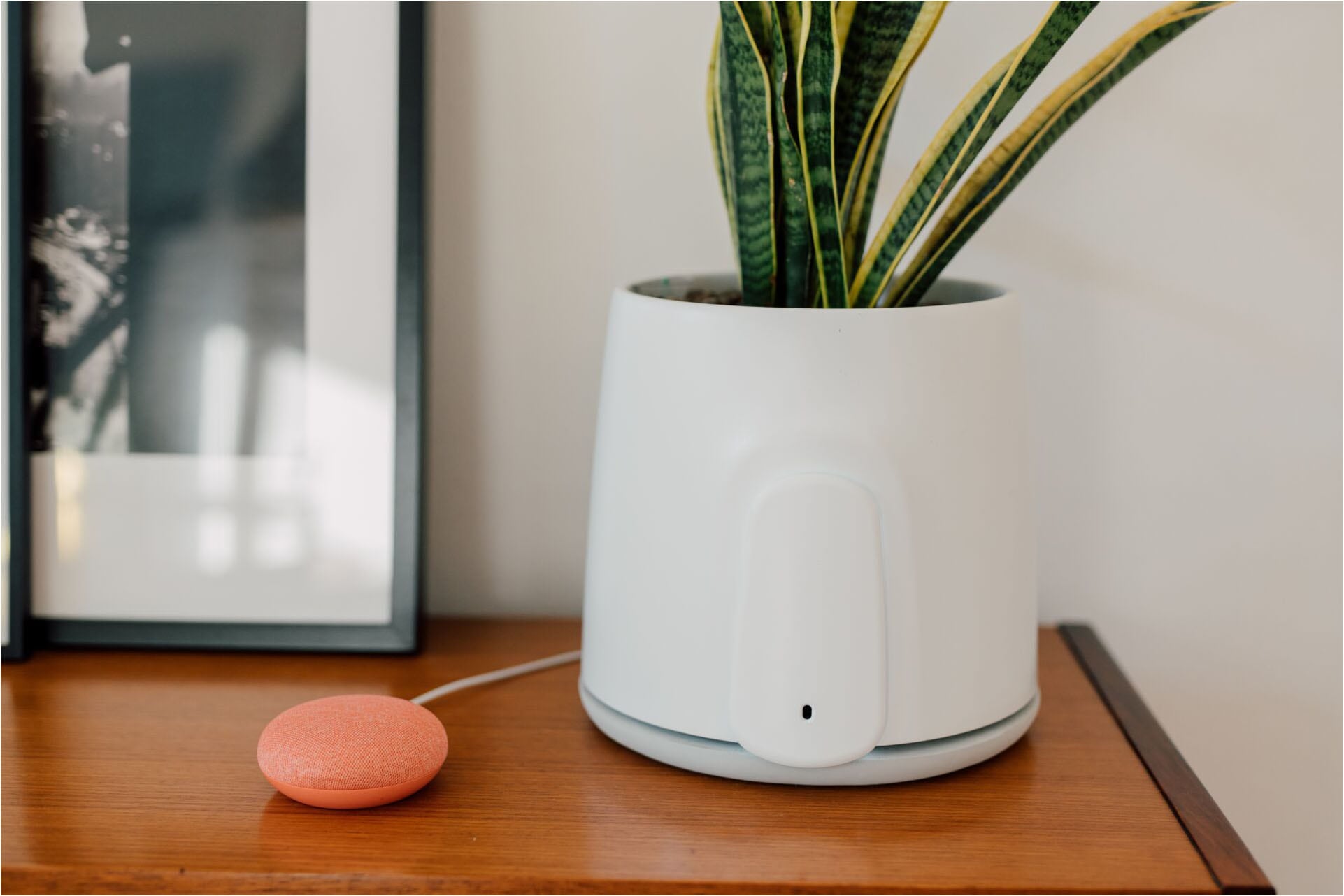 Vitesy Luftreiniger »Natede Smart – Smarte Luftreinigung und stilvoller Blumentopf«, für 20 m² Räume, Waschbarer Filter, App-Steuerung, Selbstbewässerung Blumentopf