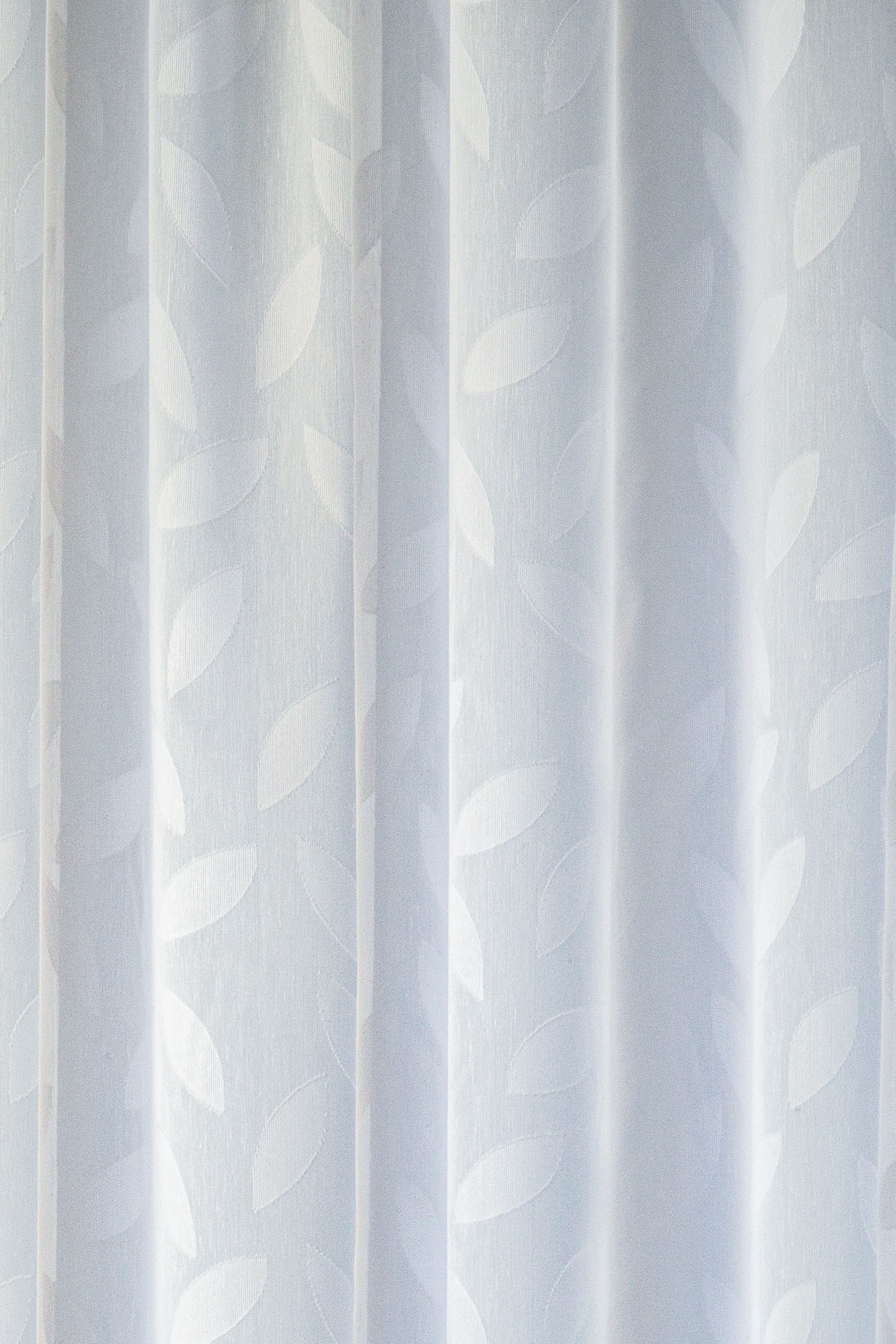 HOMING Gardine »Keela«, (1 St.), Blätter, floral, Blumen, Wohnzimmer, Schlafzimmer, transparent