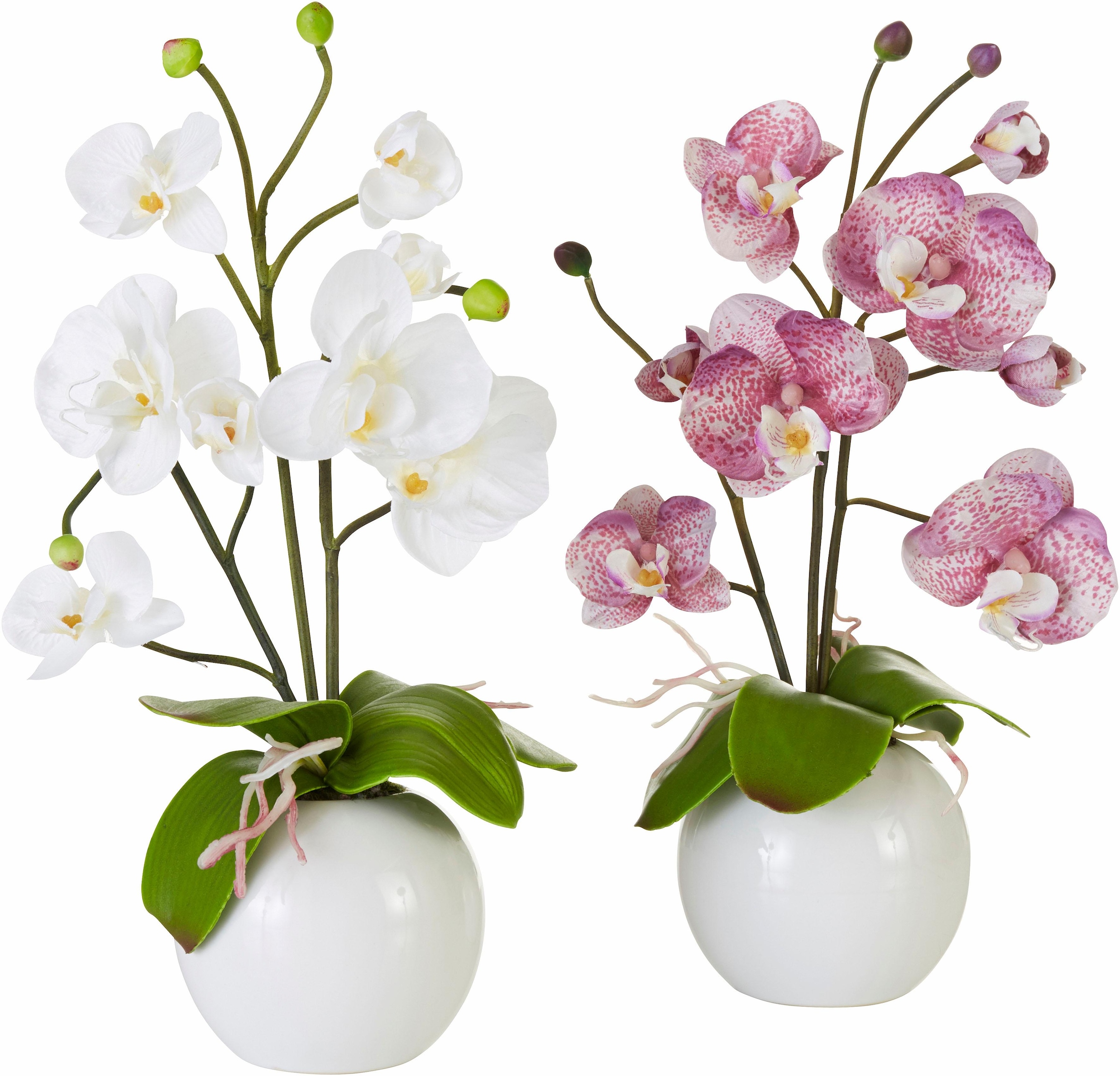 I.GE.A. Kunstpflanze »Orchidee«, (Set, 2 St.)