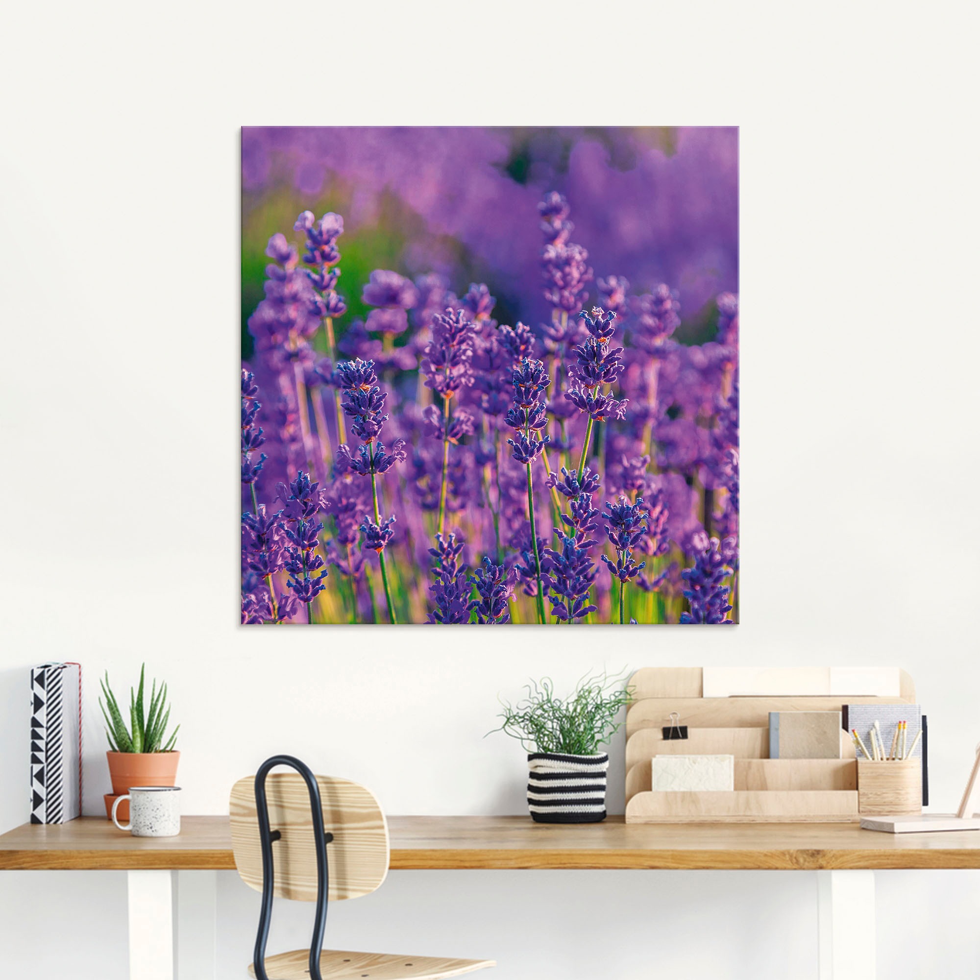 Artland Glasbild »Lavendelfeld in Tihany, Ungarn«, Felder, (1 St.), in vers günstig online kaufen