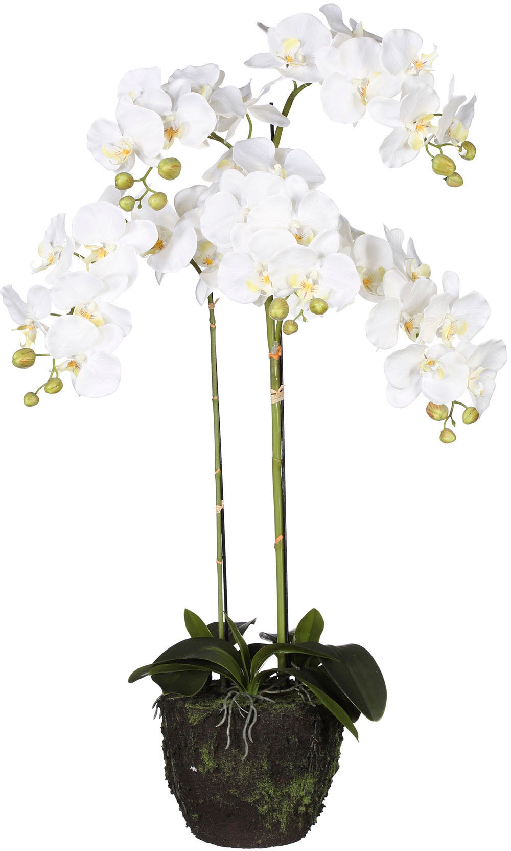 Kunst-Orchideen günstig kaufen | Kunstorchideen