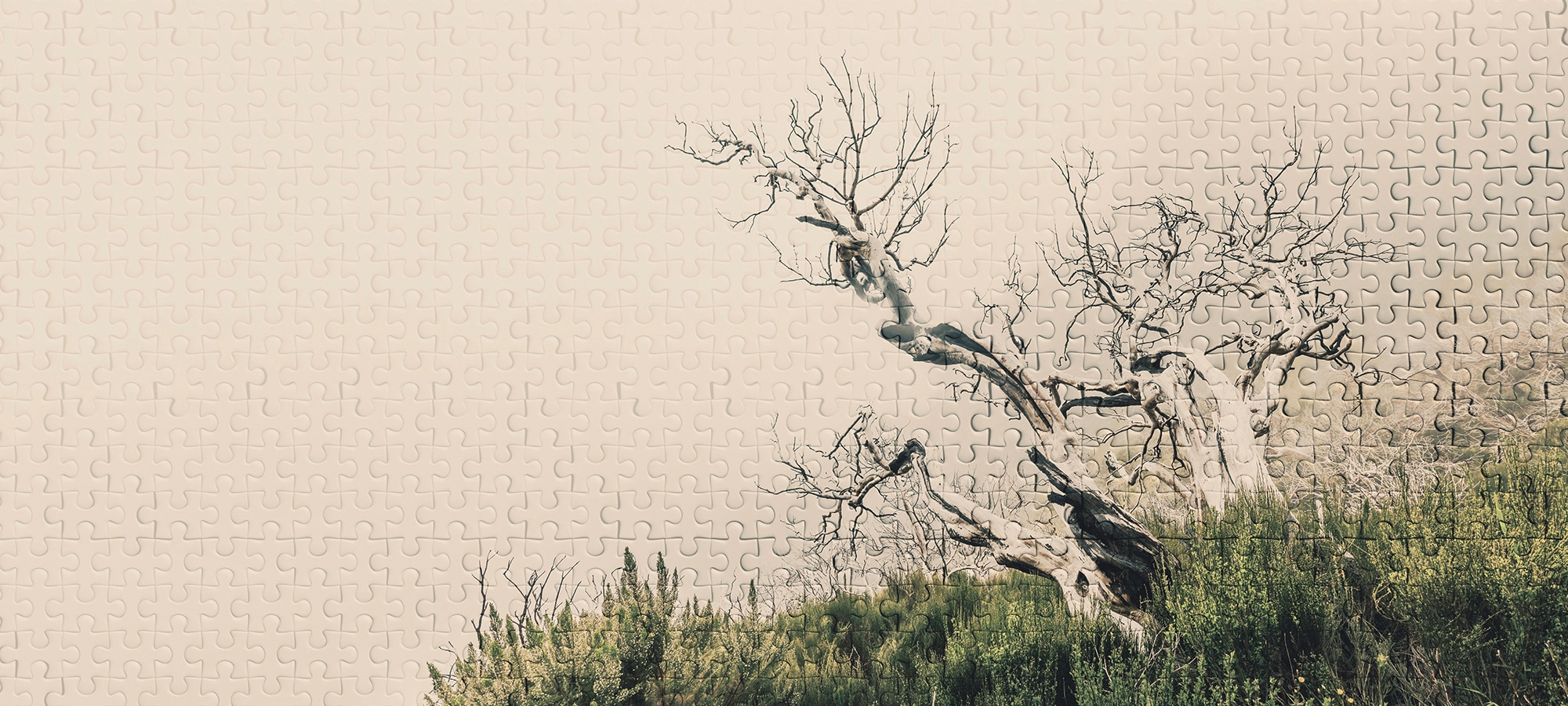 Architects Paper Fototapete »Atelier 47 Death Tree Puzzle 2« Wald glatt Vli günstig online kaufen