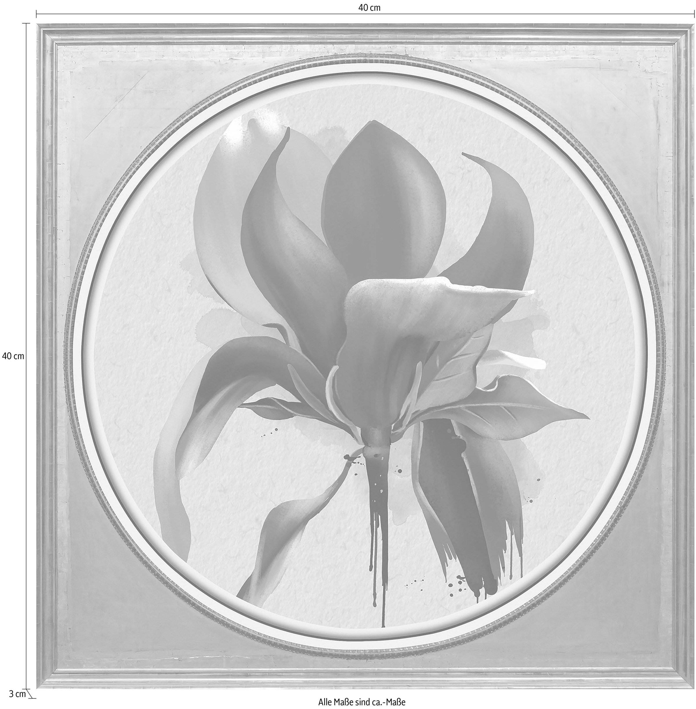 queence Acrylglasbild »Magnolie«, Blumen-Blumenbilder-Kunst-Pflanzen-Pflanzenbilder-Gemälde, Fine Art-Print in Galeriequalität