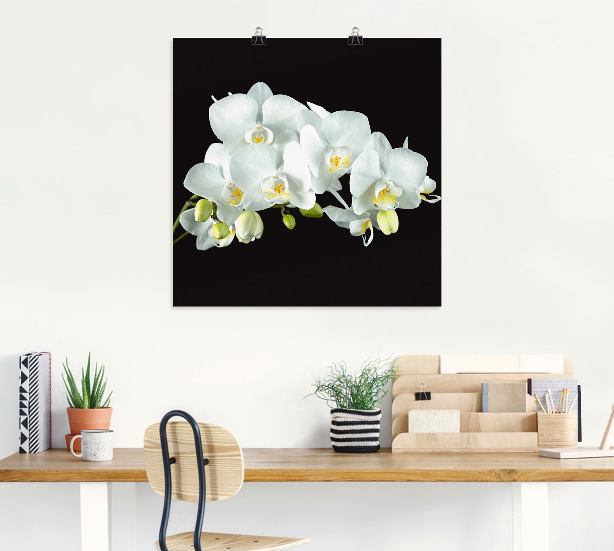 Artland Wandbild »Weiße Orchidee auf schwarzem Hintergrund«, Blumen, (1 St.), als Leinwandbild, Poster, Wandaufkleber in verschied. Größen