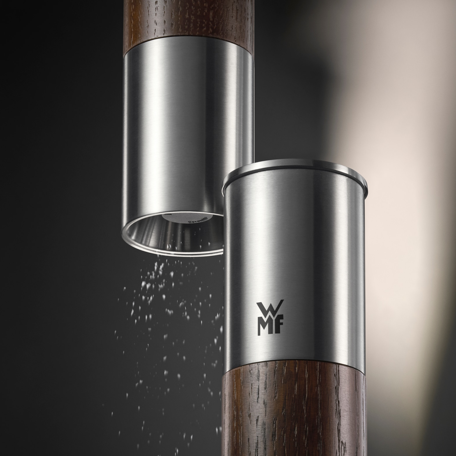 WMF Gewürzmühle »Nature Pro Edelstahl« Keramikmahlwerk, einstellbarer Mahlgrad, Aromaschutzdeckel, Holz