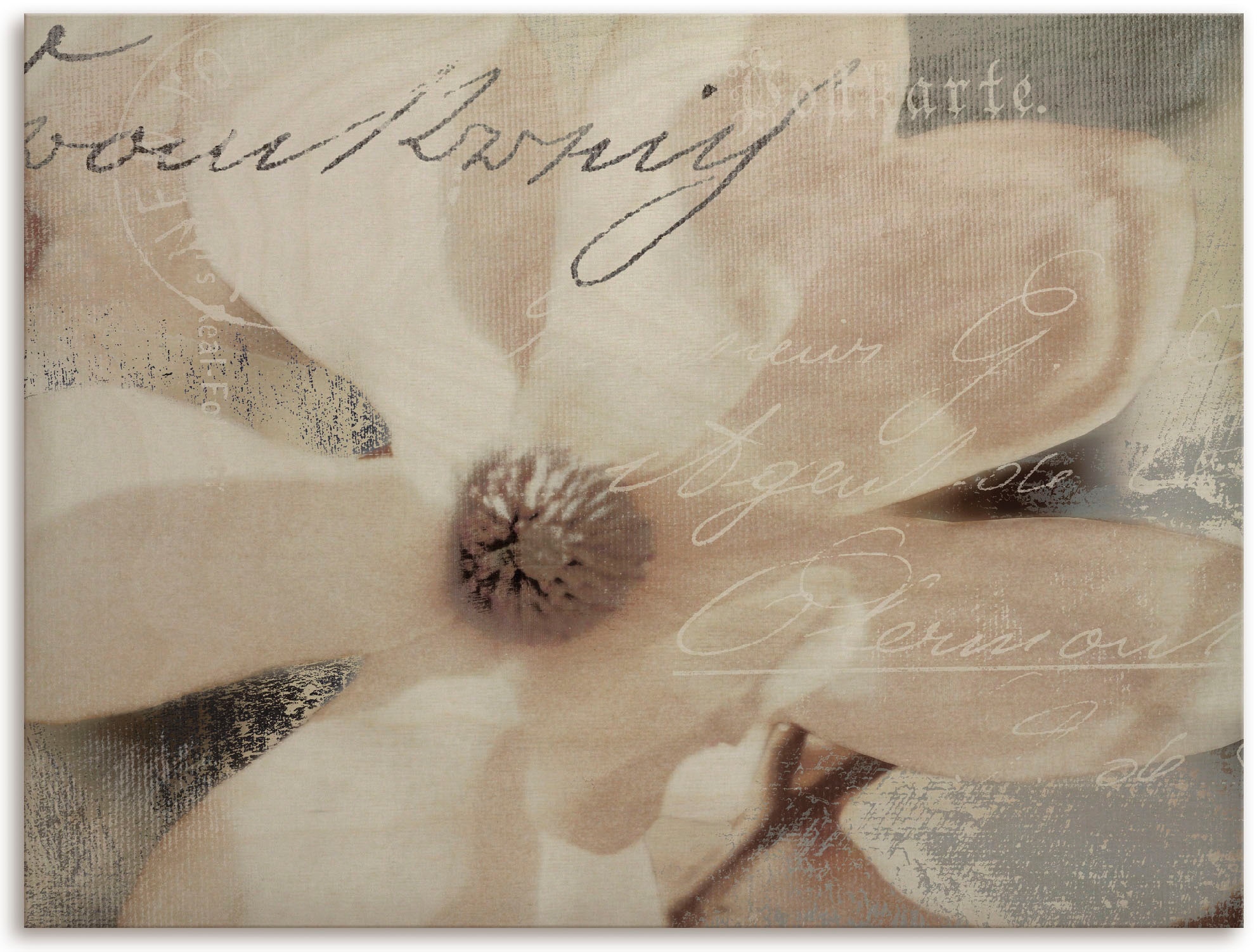 Artland Holzbild »Magnolie_Detail«, Pflanzen- & Blumenbilder, (1 St.)