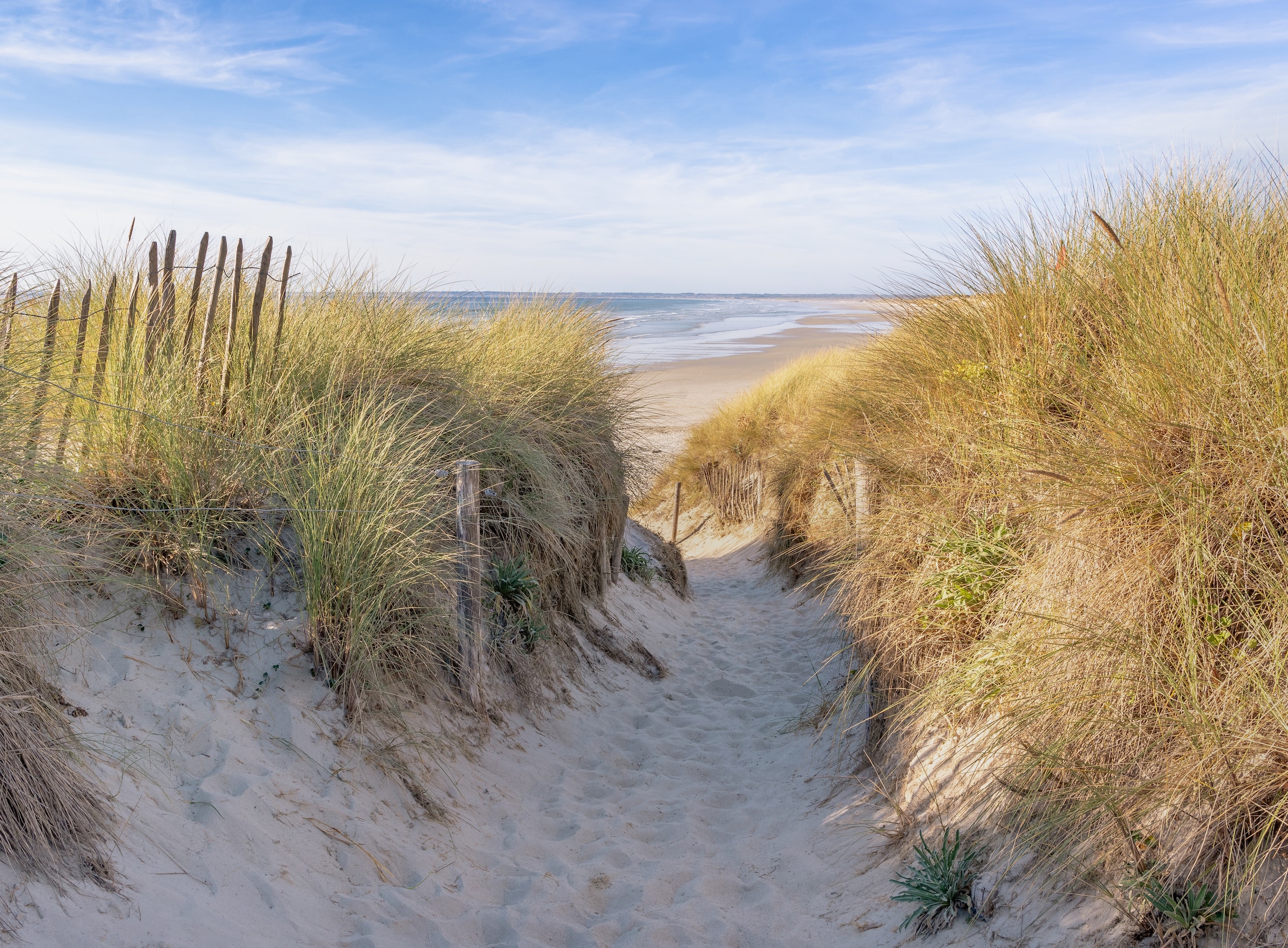 Papermoon Fototapete »Dunes in Bretagne« glatt günstig online kaufen