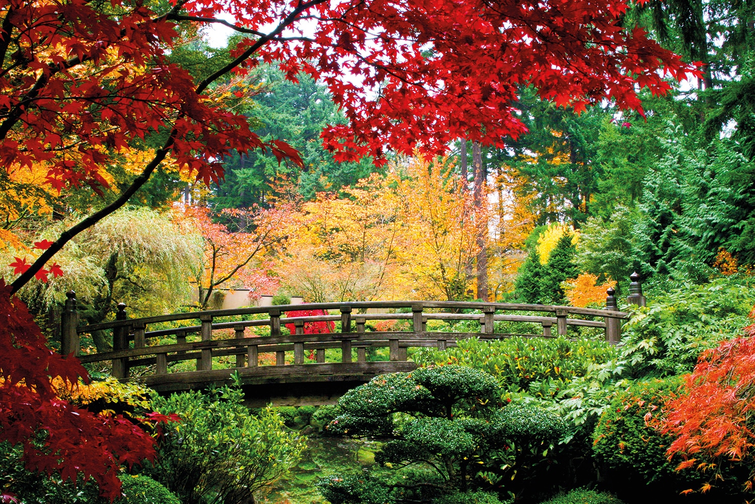 Papermoon Fototapete »Bridge in Japanese Garden« günstig online kaufen