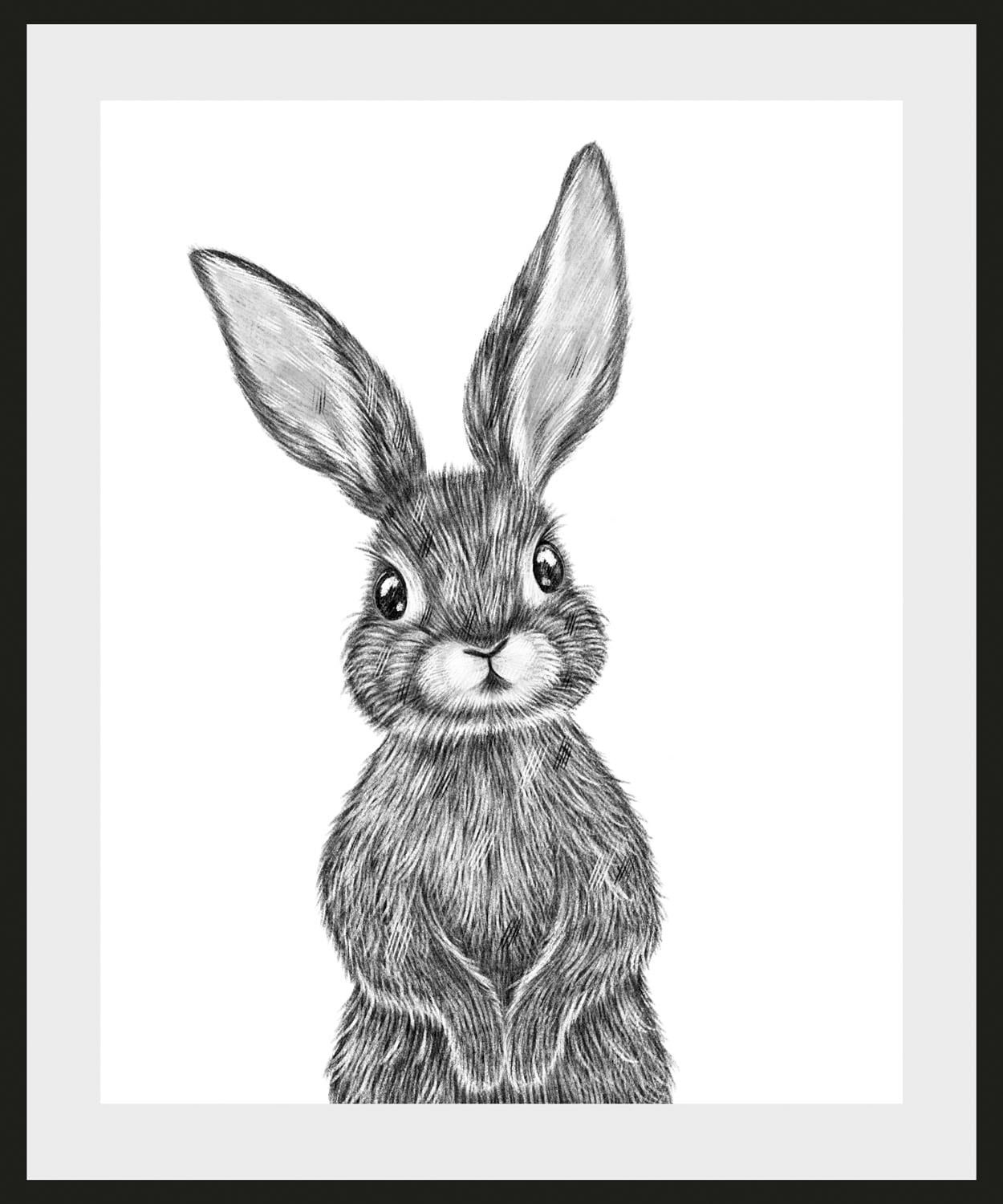 queence Bild »Helmi« Hase   Hasen   Haustiere   Kunst   Schwarz-Weiß 1 Stk. günstig online kaufen