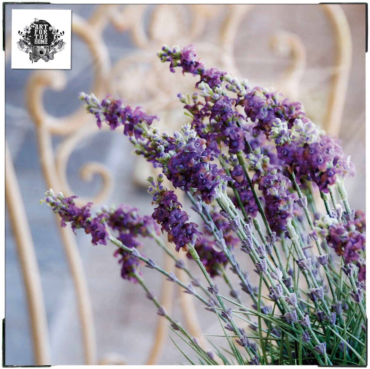 Art for the home Leinwandbild »Outdoor Lovely 50x50cm«, (1 St.)